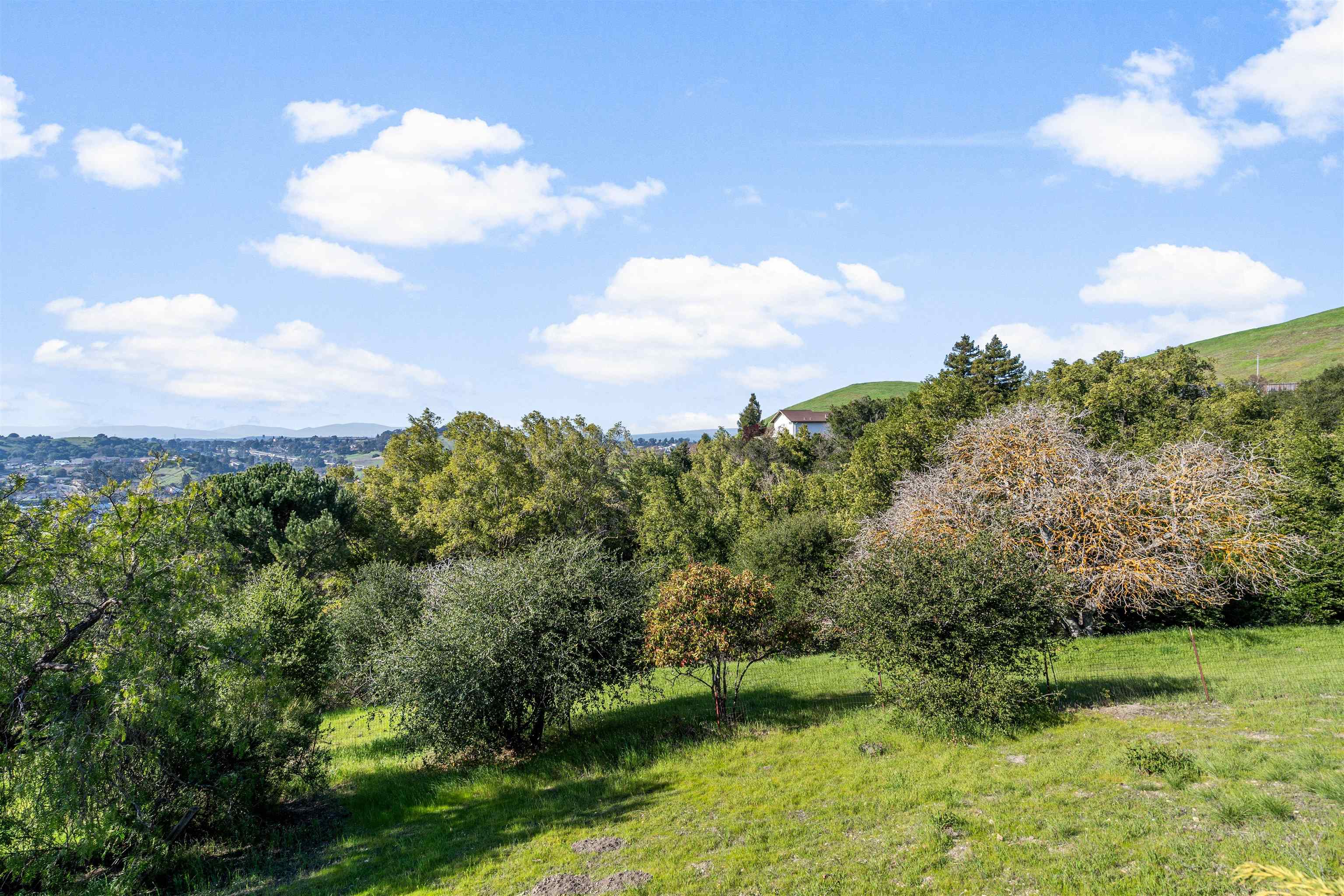 Detail Gallery Image 45 of 60 For 2662 Carmelita Way, Pinole,  CA 94564 - 3 Beds | 2 Baths