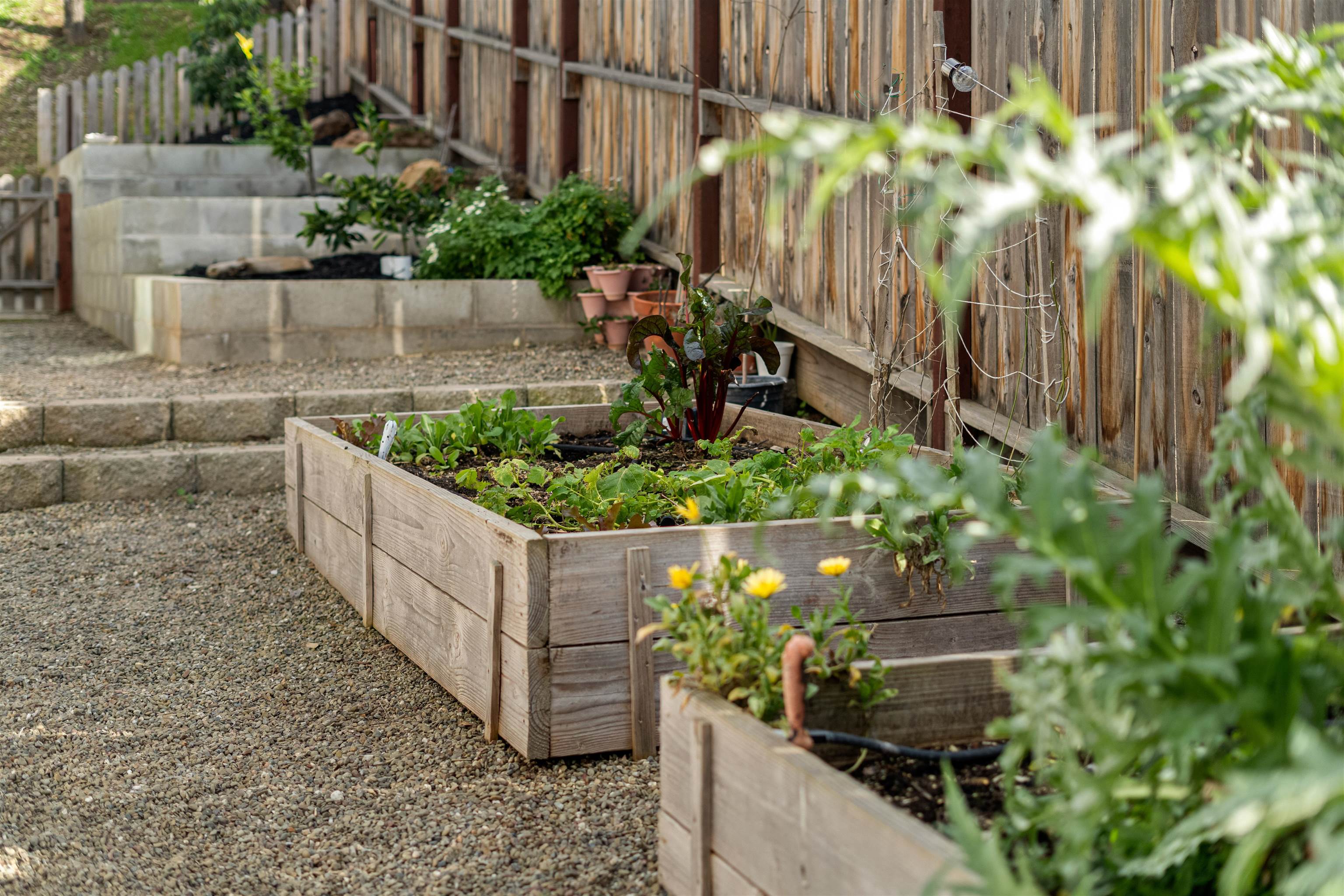 Detail Gallery Image 47 of 59 For 3281 Dunn, Valley Springs,  CA 95252-9284 - 3 Beds | 2 Baths