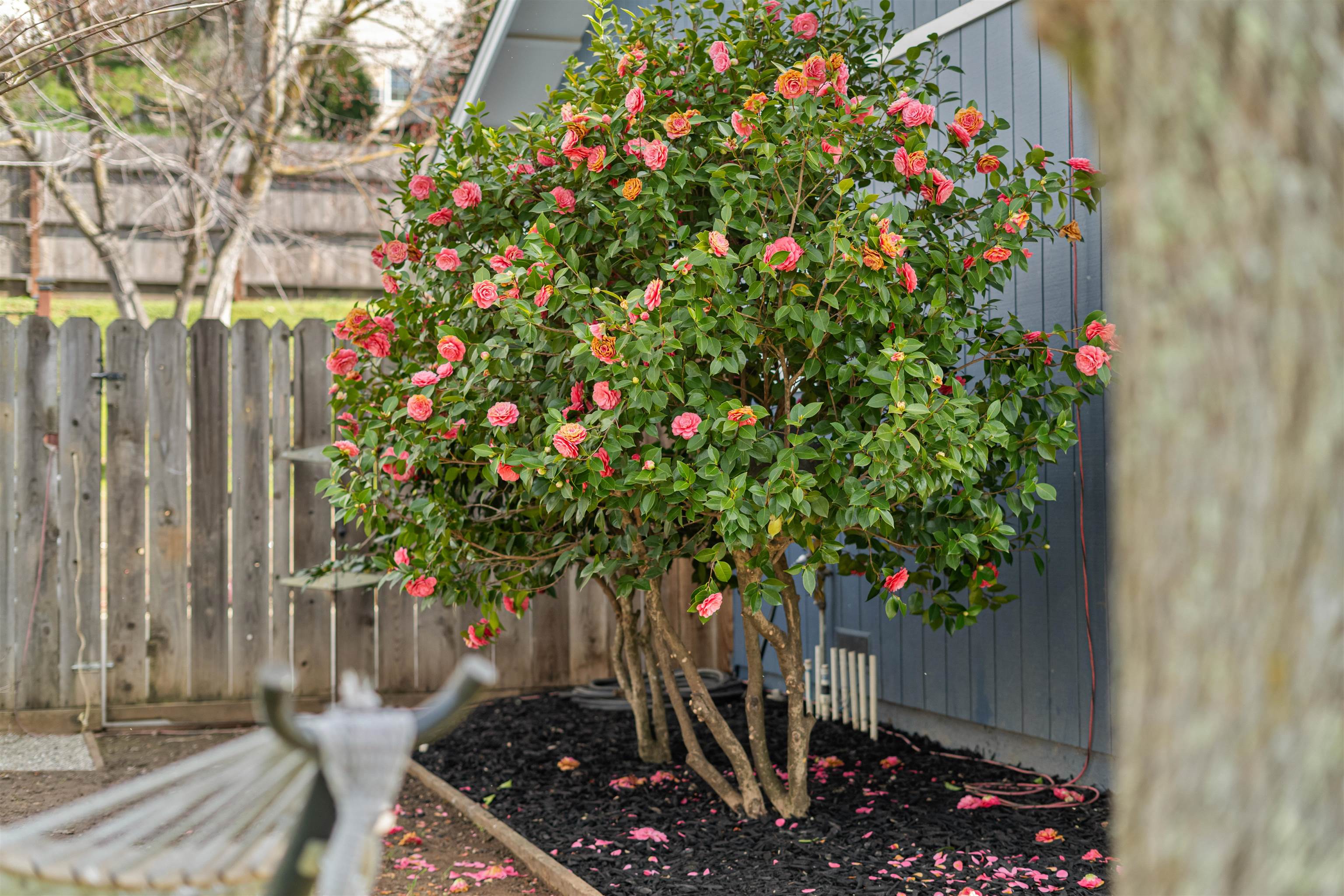 Detail Gallery Image 55 of 59 For 3281 Dunn, Valley Springs,  CA 95252-9284 - 3 Beds | 2 Baths