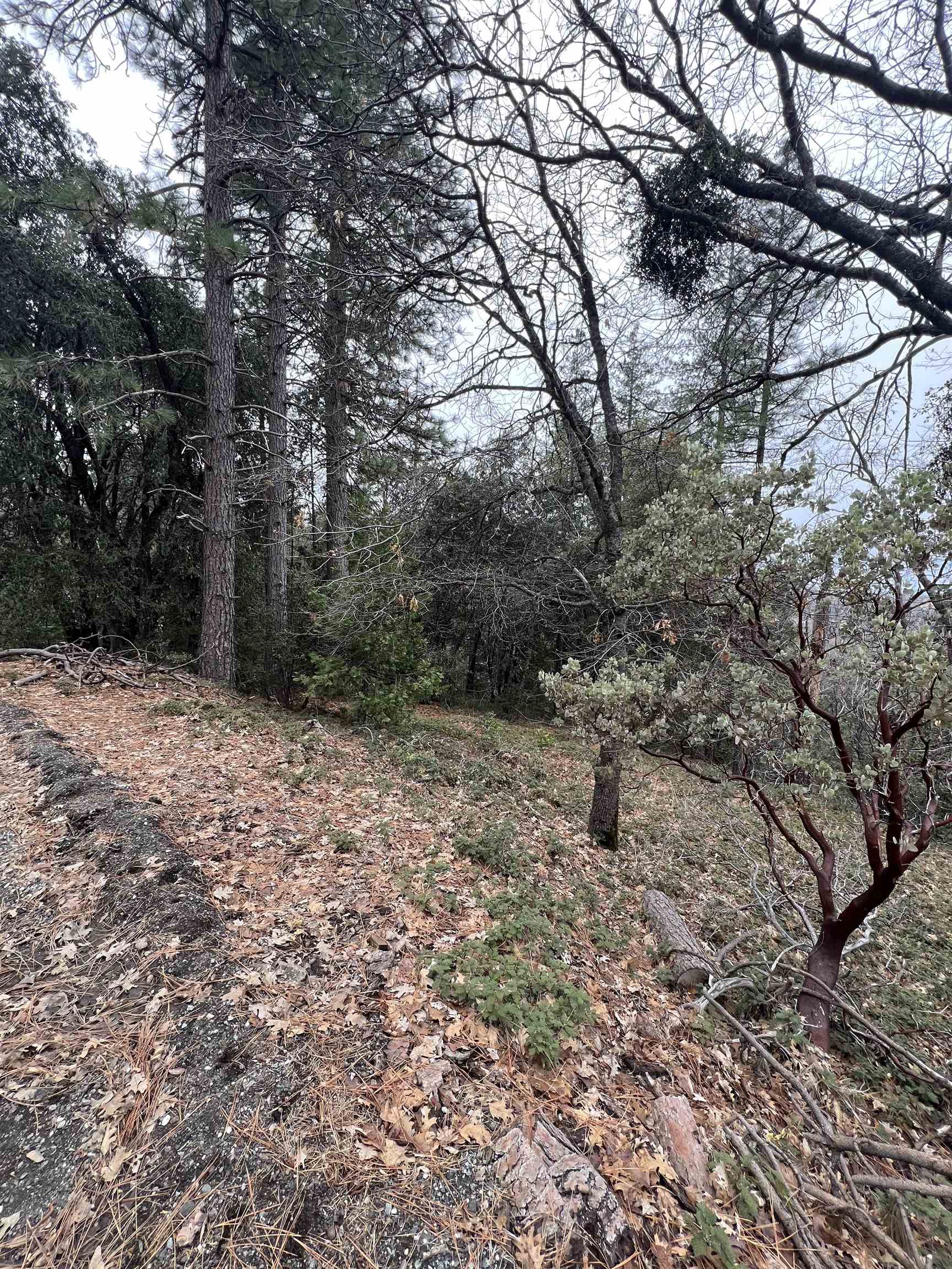 Detail Gallery Image 11 of 12 For 19262 Tanglewood Trl., Twain Harte,  CA 95383 - – Beds | – Baths