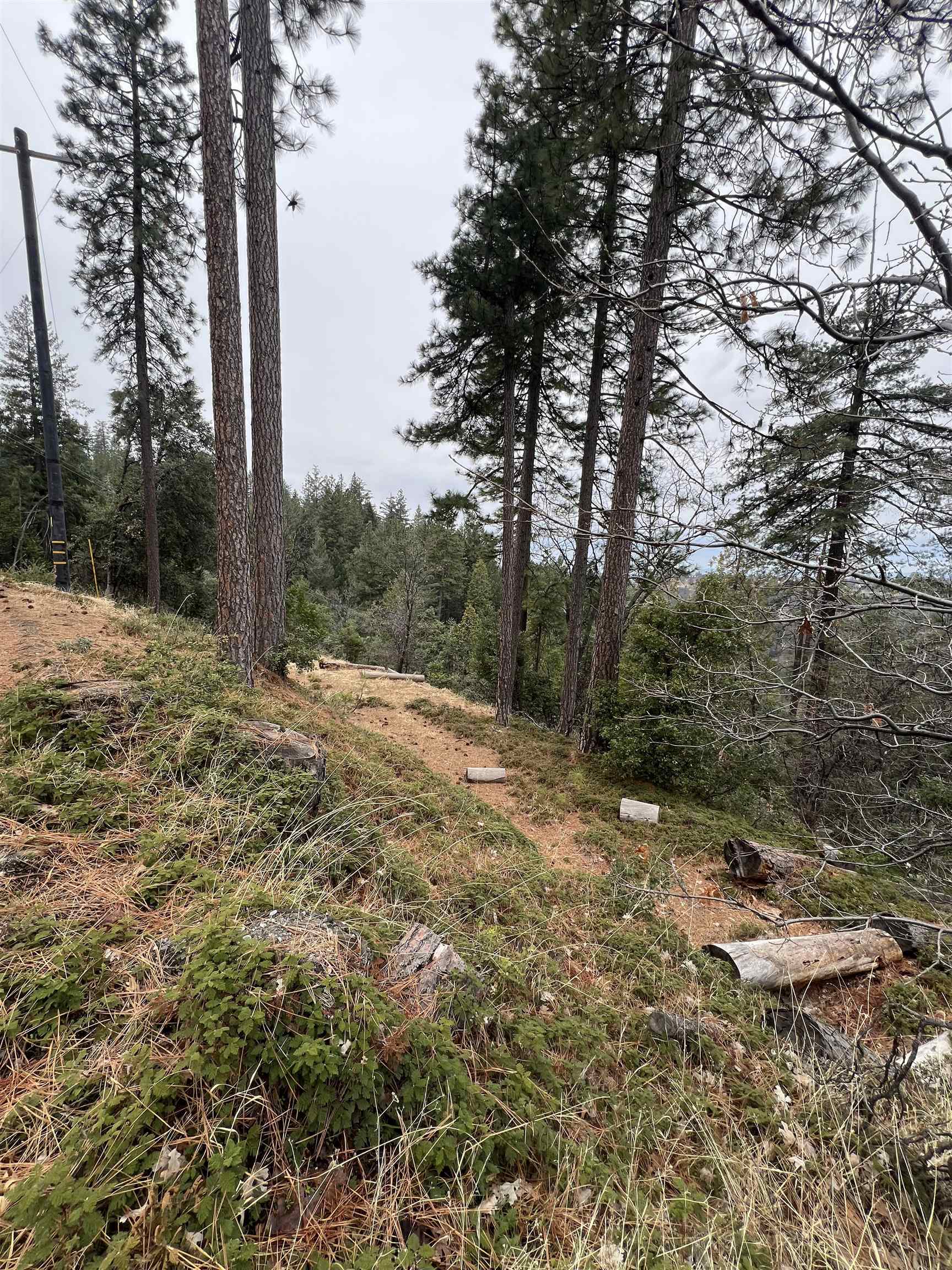 Detail Gallery Image 3 of 12 For 19262 Tanglewood Trl., Twain Harte,  CA 95383 - – Beds | – Baths