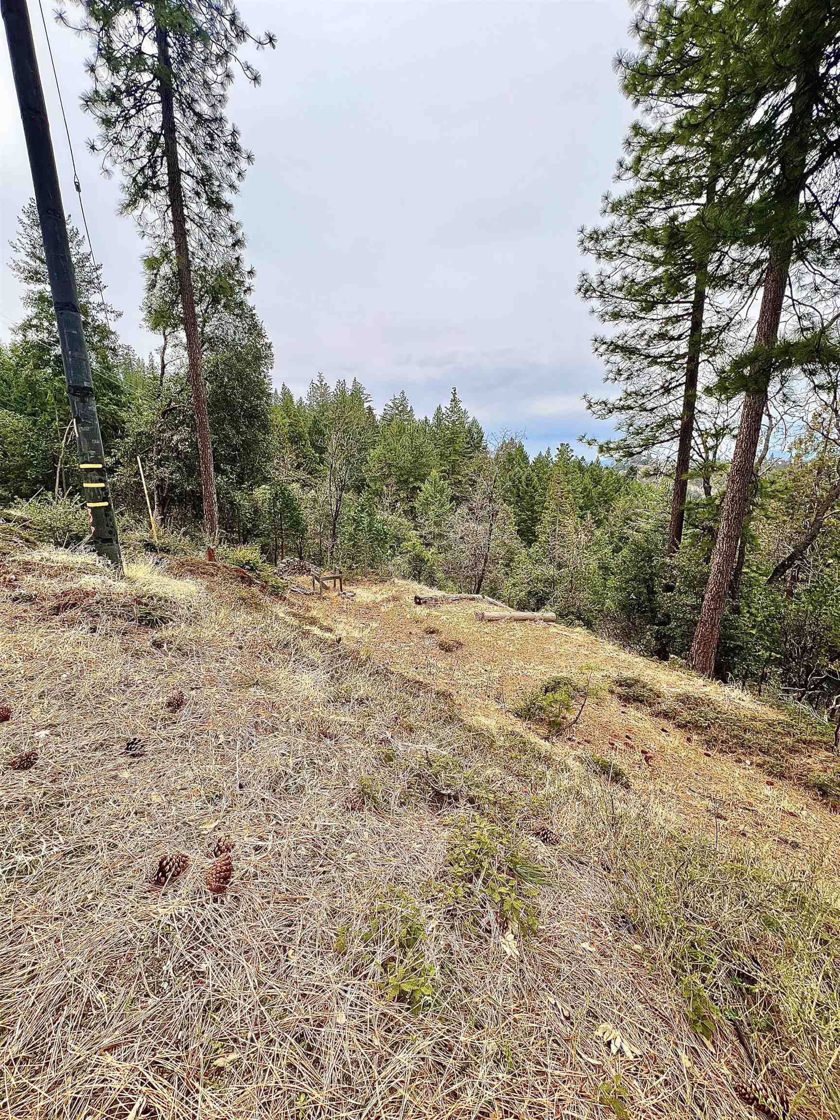 Detail Gallery Image 5 of 12 For 19262 Tanglewood Trl., Twain Harte,  CA 95383 - – Beds | – Baths