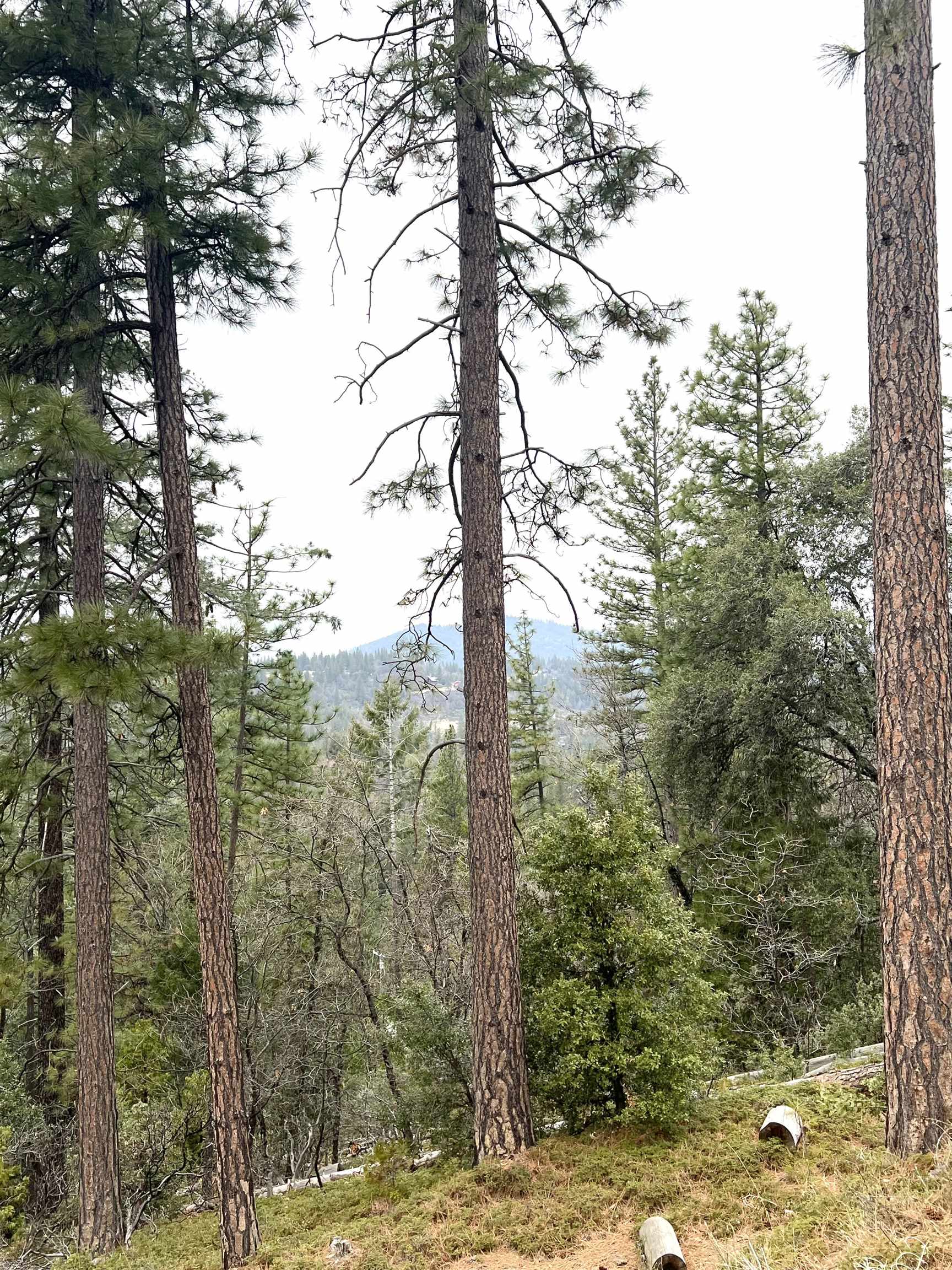 Detail Gallery Image 6 of 12 For 19262 Tanglewood Trl., Twain Harte,  CA 95383 - – Beds | – Baths