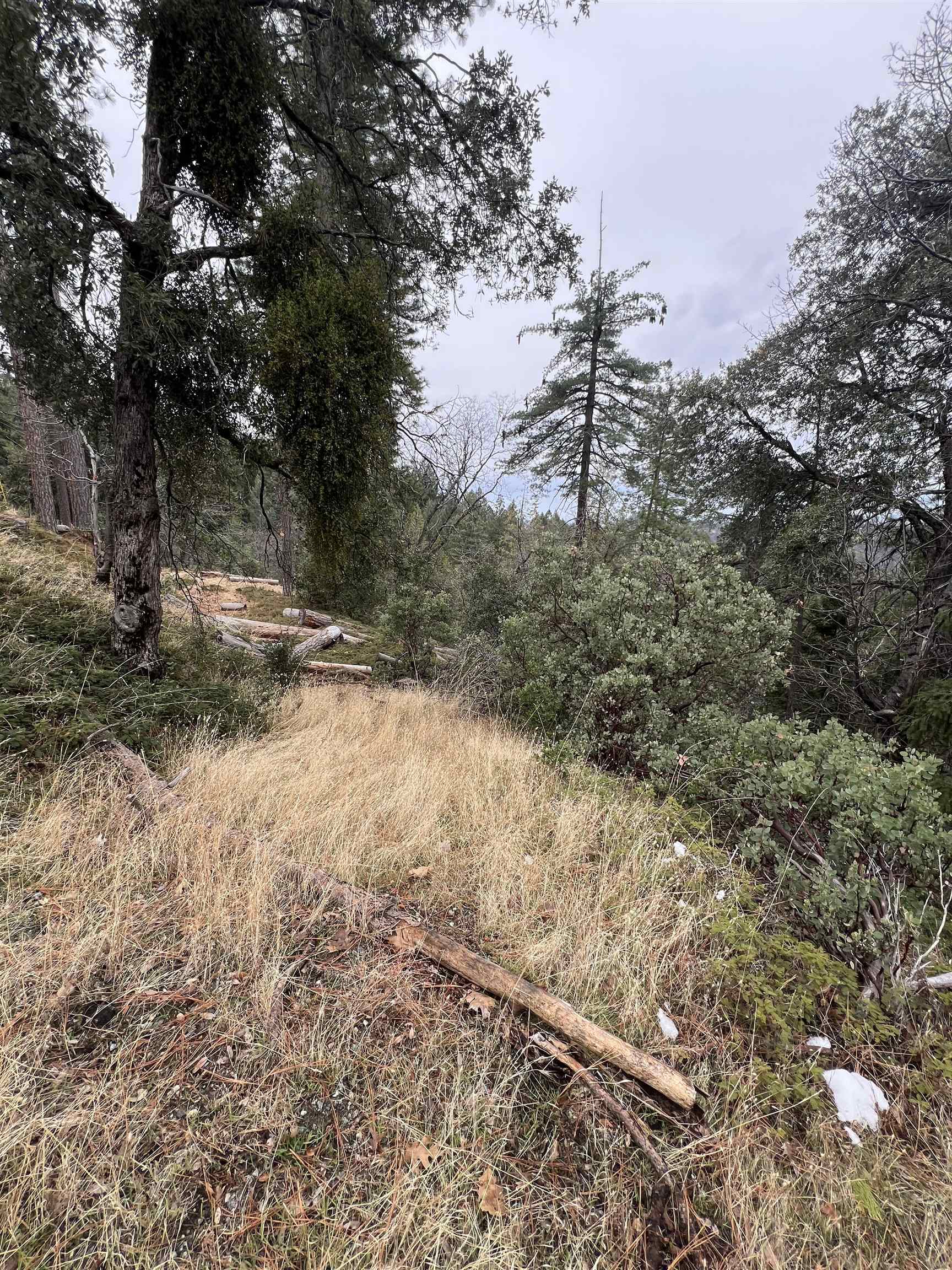 Detail Gallery Image 8 of 12 For 19262 Tanglewood Trl., Twain Harte,  CA 95383 - – Beds | – Baths