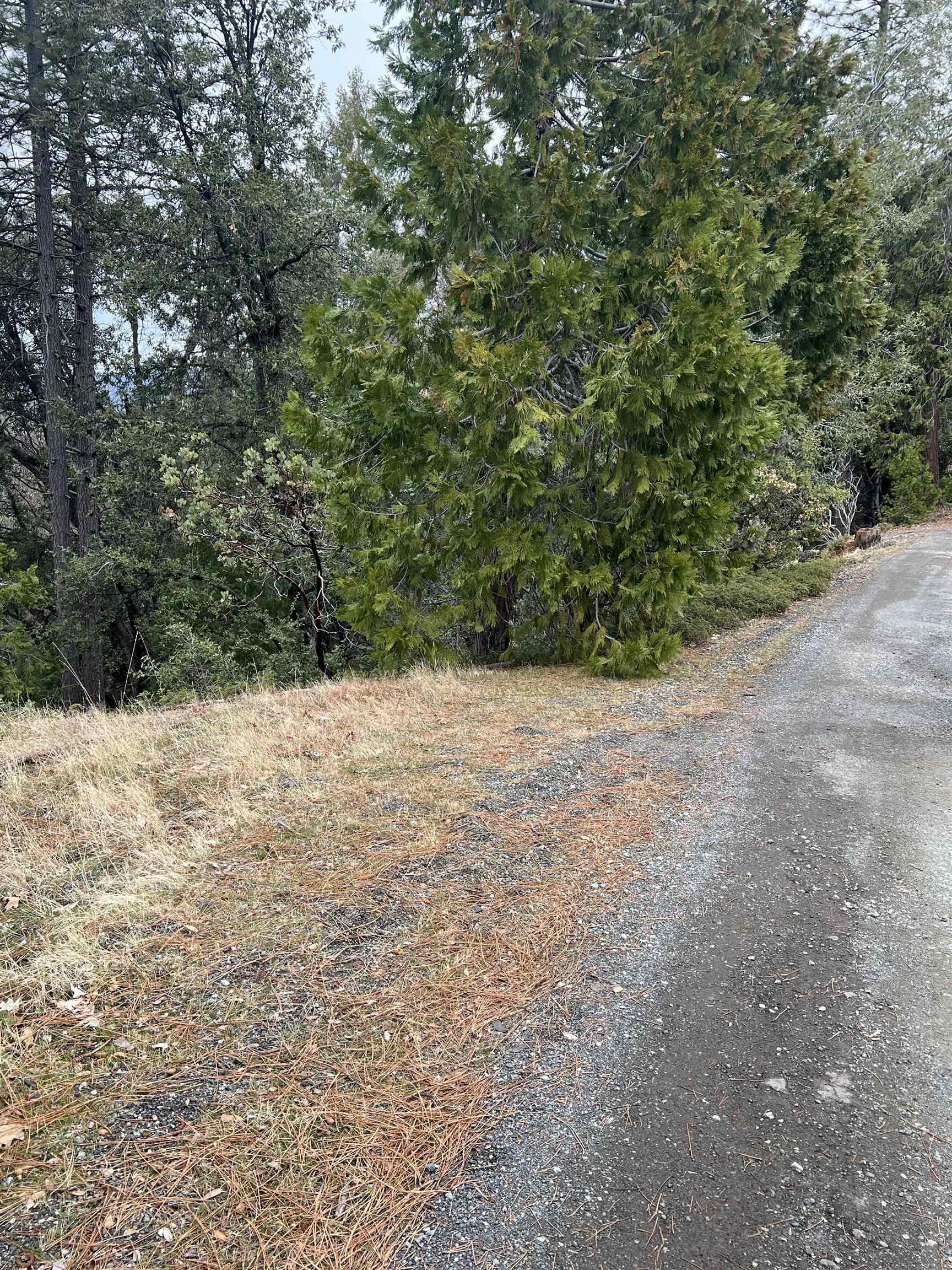 Detail Gallery Image 9 of 12 For 19262 Tanglewood Trl., Twain Harte,  CA 95383 - – Beds | – Baths