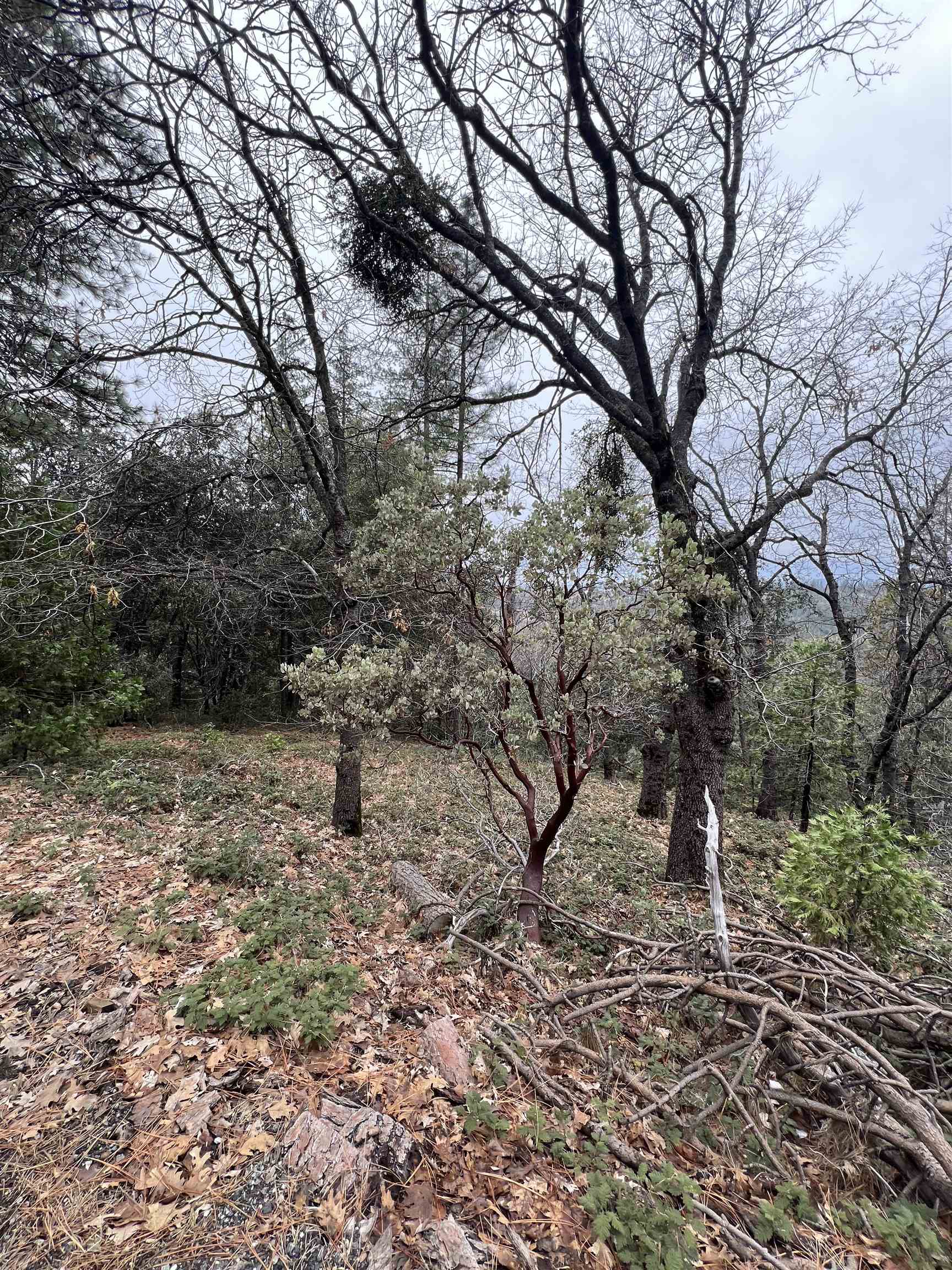 Detail Gallery Image 10 of 12 For 19262 Tanglewood Trl., Twain Harte,  CA 95383 - – Beds | – Baths