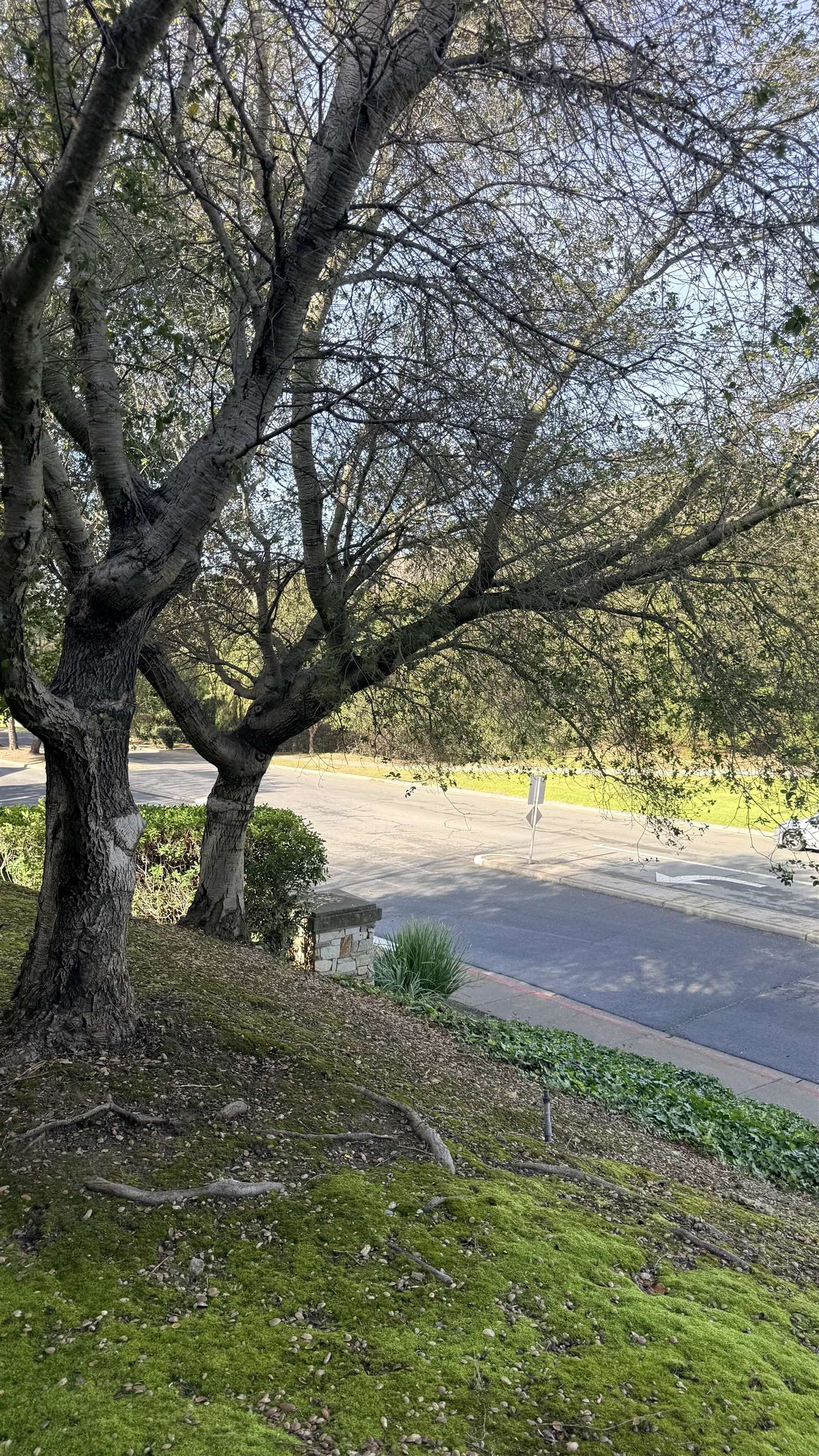 Detail Gallery Image 32 of 53 For 103 Tuscany Court, Hercules,  CA 94547 - 2 Beds | 2 Baths