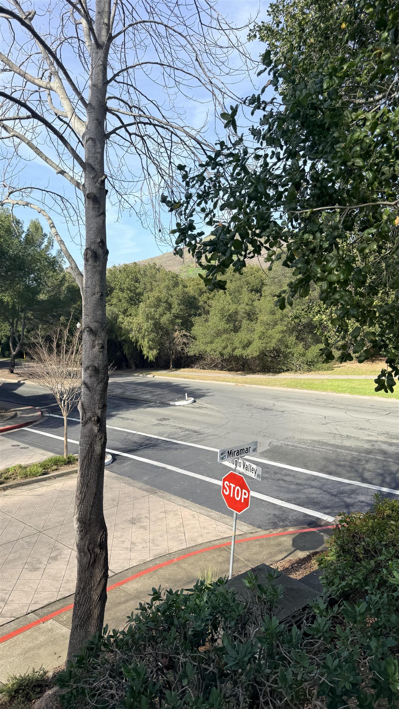 Detail Gallery Image 49 of 53 For 103 Tuscany Court, Hercules,  CA 94547 - 2 Beds | 2 Baths