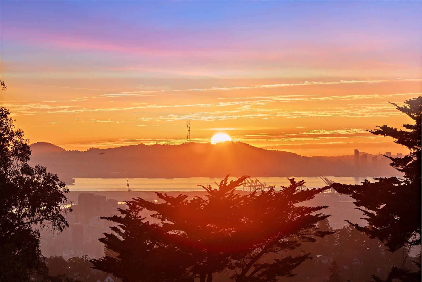 Detail Gallery Image 37 of 57 For 2355 Pelham Pl, Oakland,  CA 94611 - 3 Beds | 2/1 Baths