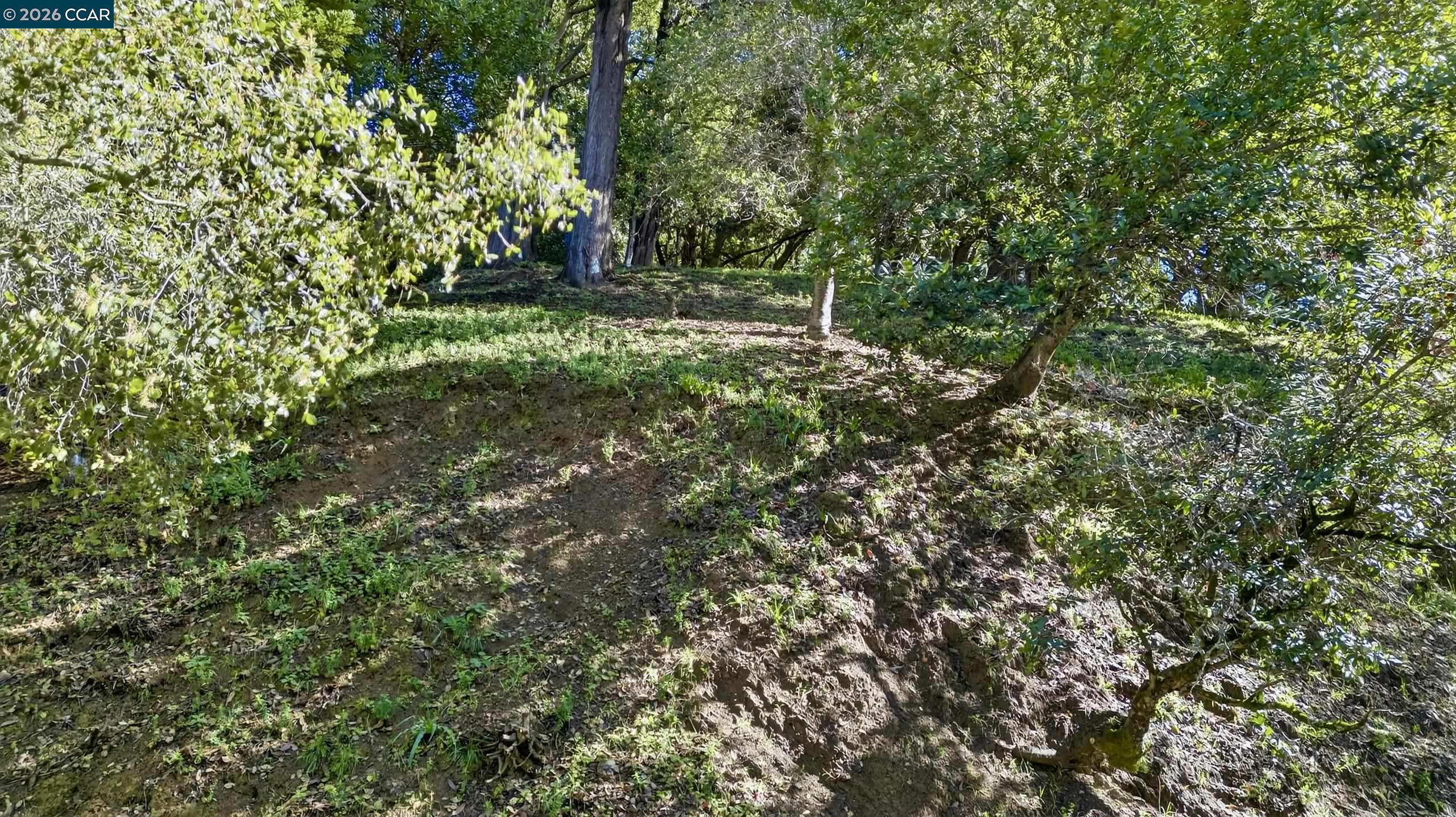 Detail Gallery Image 39 of 50 For 6030 Girvin Dr, Oakland,  CA 94611 - – Beds | – Baths