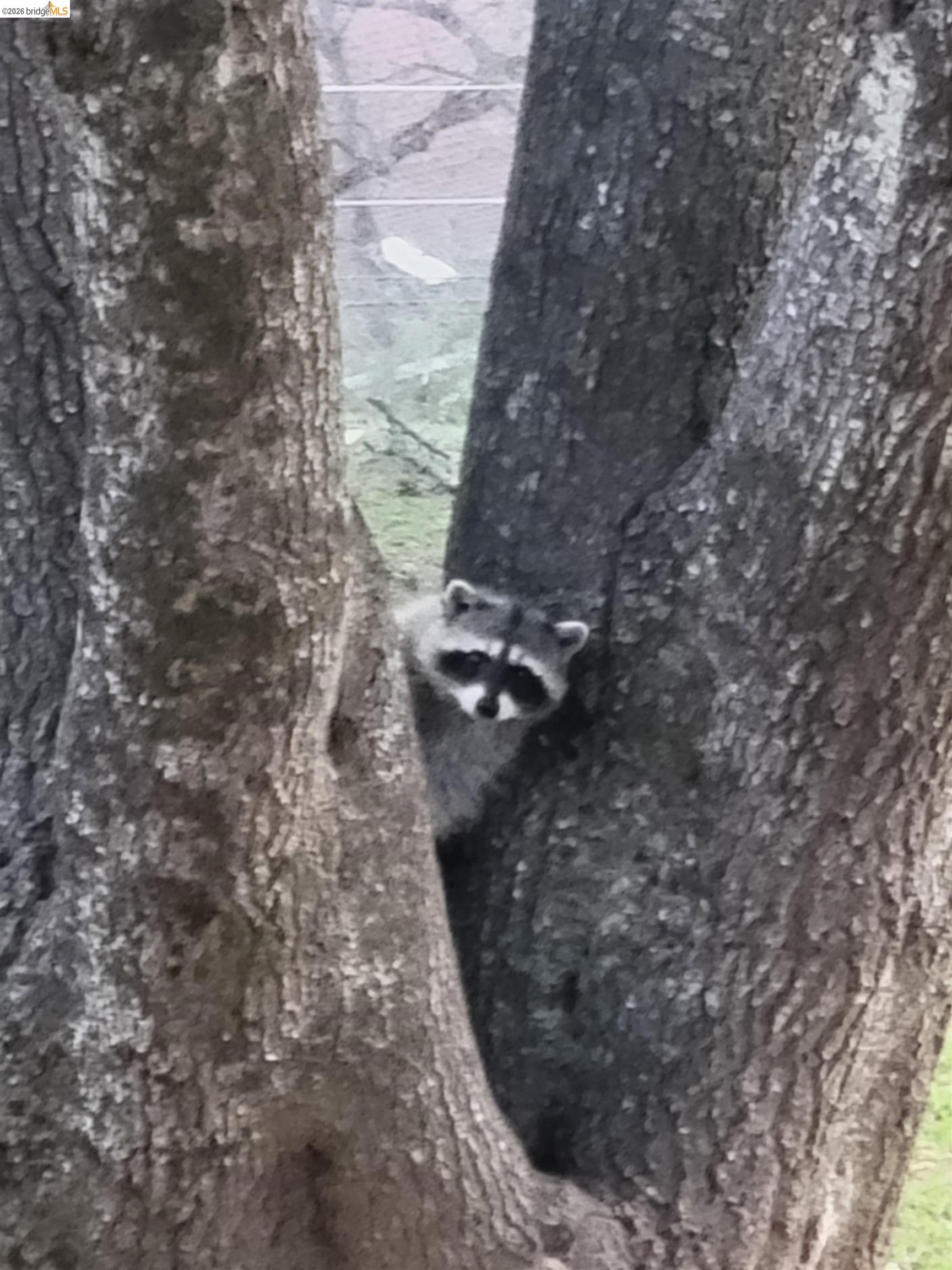 Detail Gallery Image 31 of 32 For 12629 Cresthavaen, Groveland,  CA 95321 - 3 Beds | 2/1 Baths