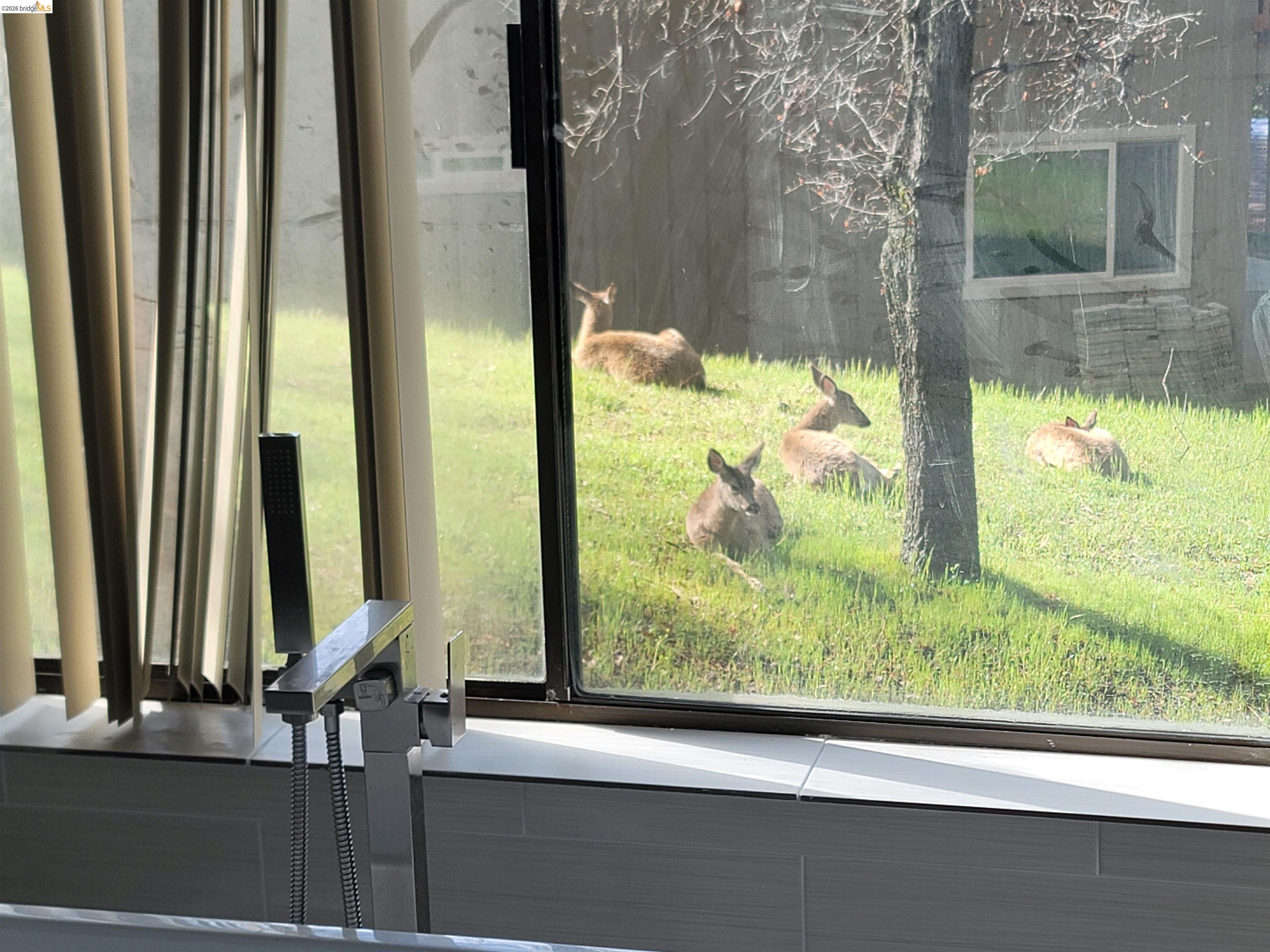 Detail Gallery Image 32 of 32 For 12629 Cresthavaen, Groveland,  CA 95321 - 3 Beds | 2/1 Baths