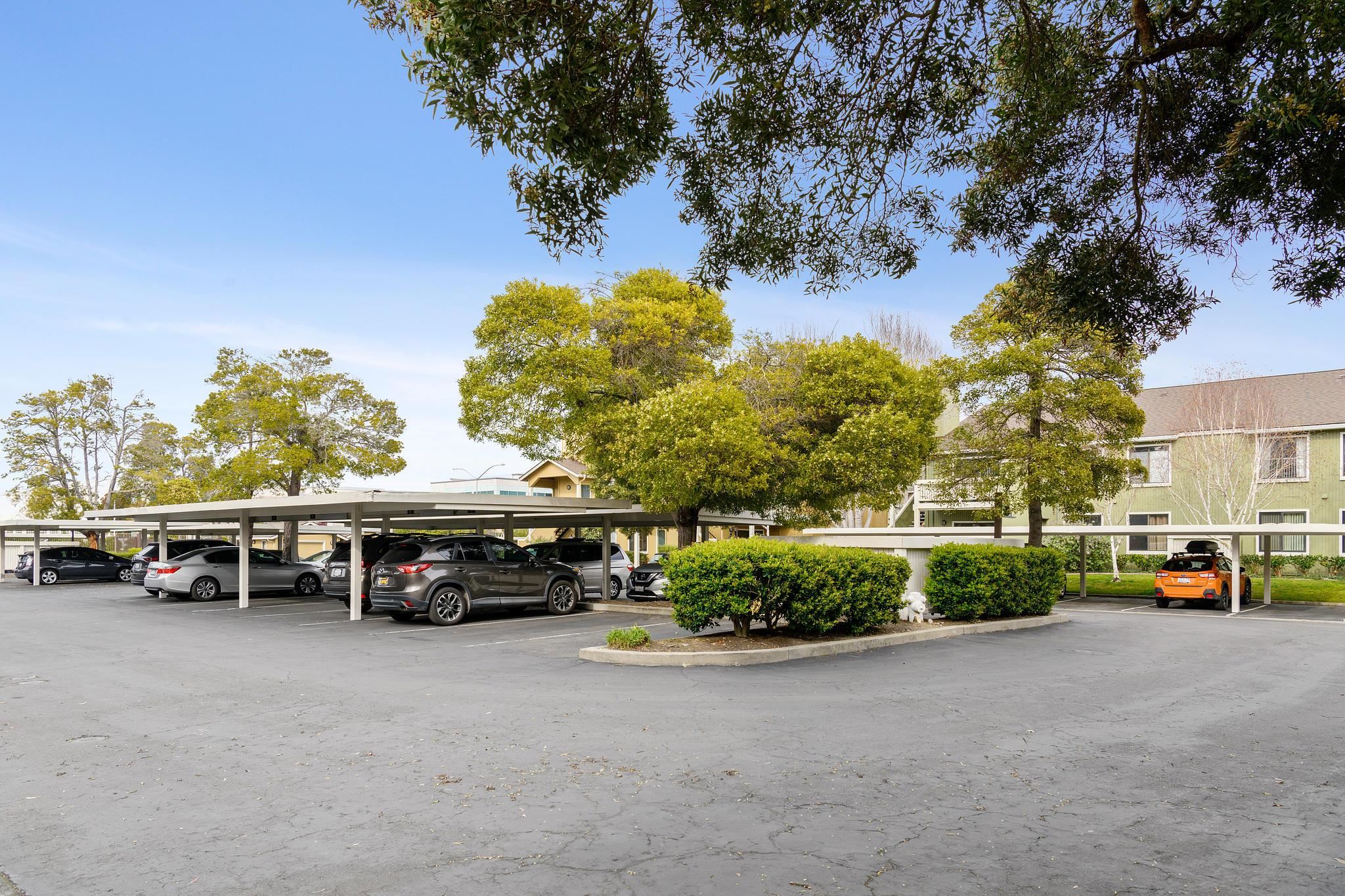 Photo #44: 41123533 Listing: Photo #44