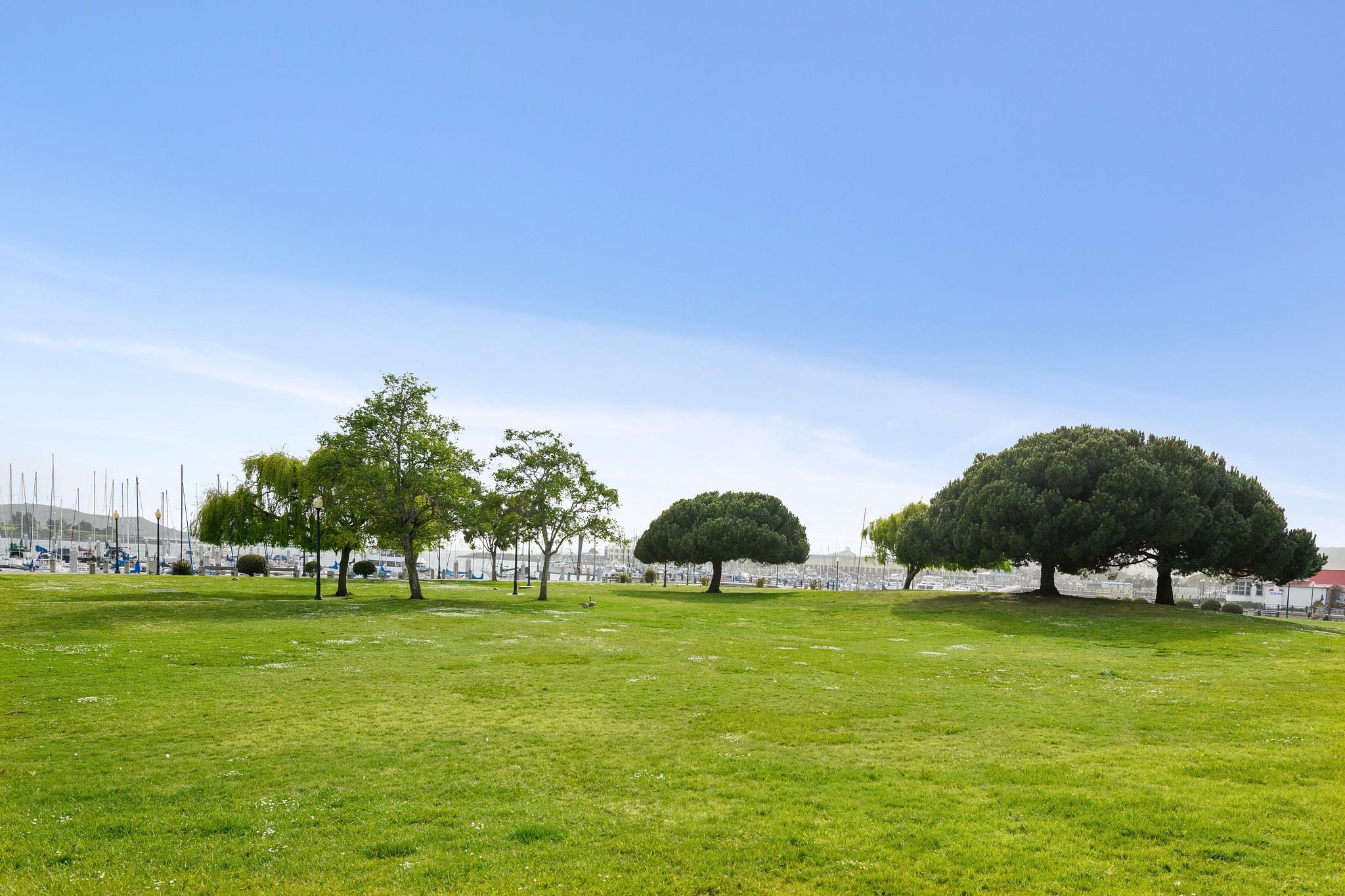 Photo #46: 41123533 Listing: Photo #46