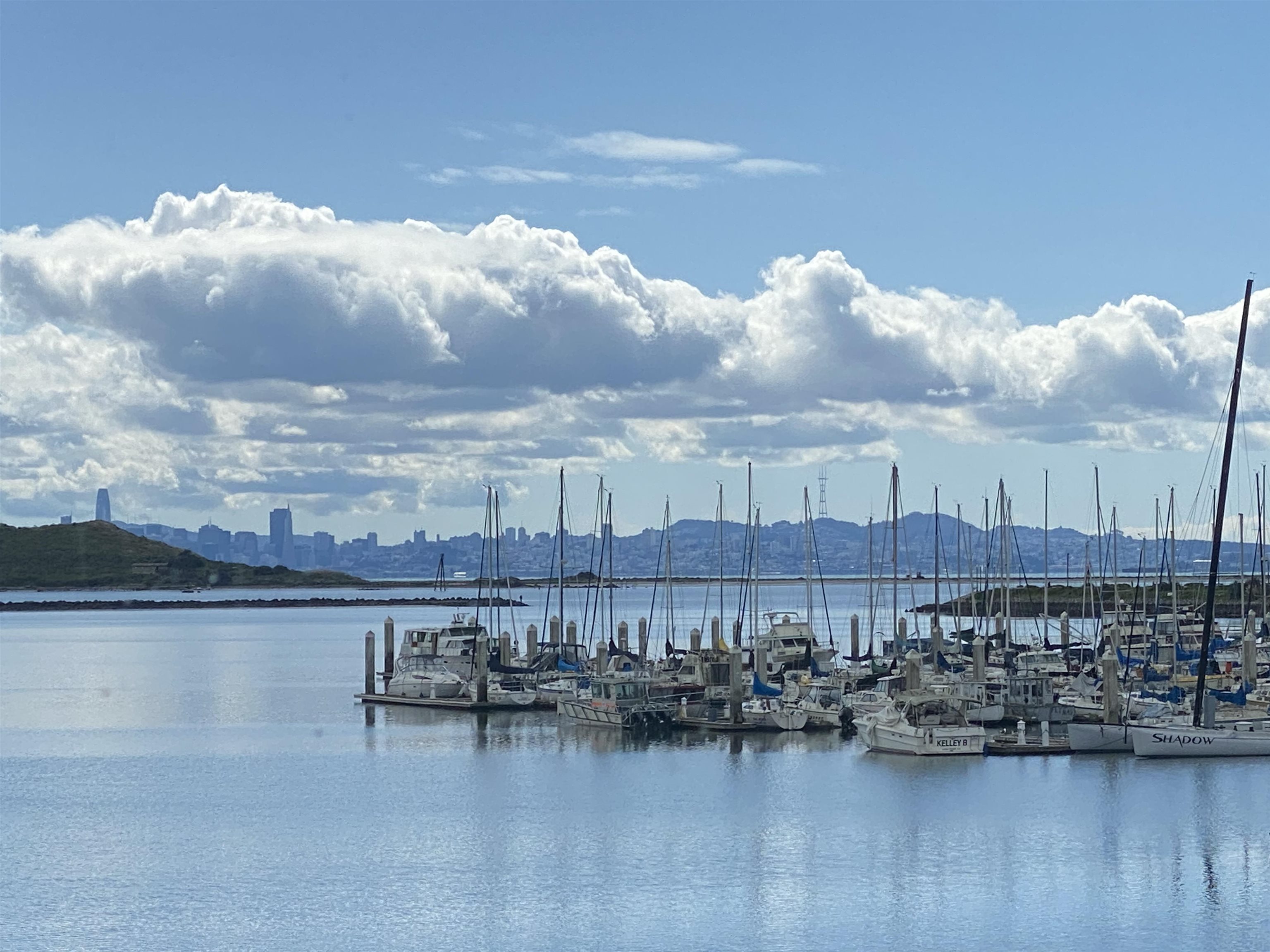 Photo #52: 41123533 Listing: Photo #52