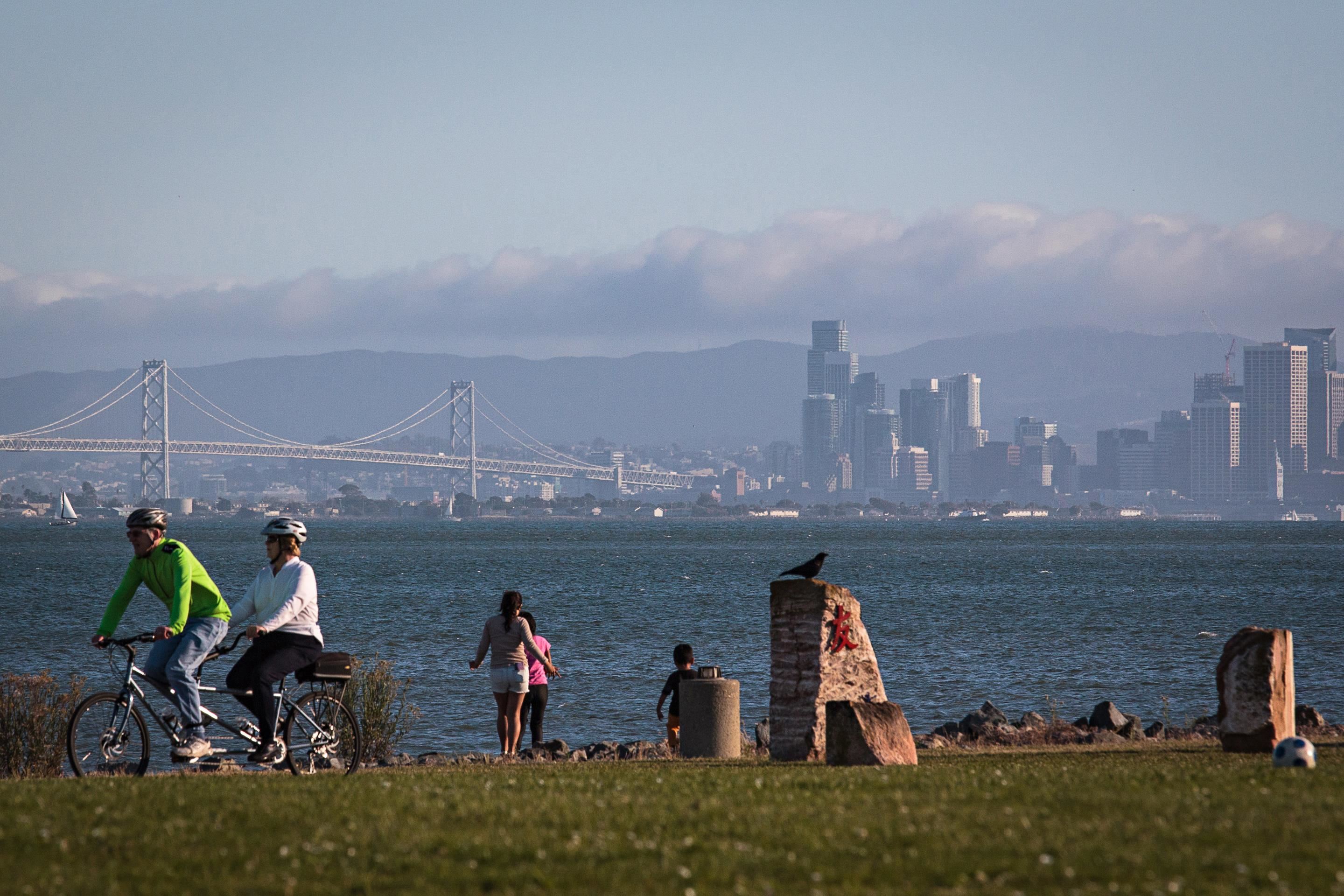 Photo #53: 41123533 Listing: Photo #53