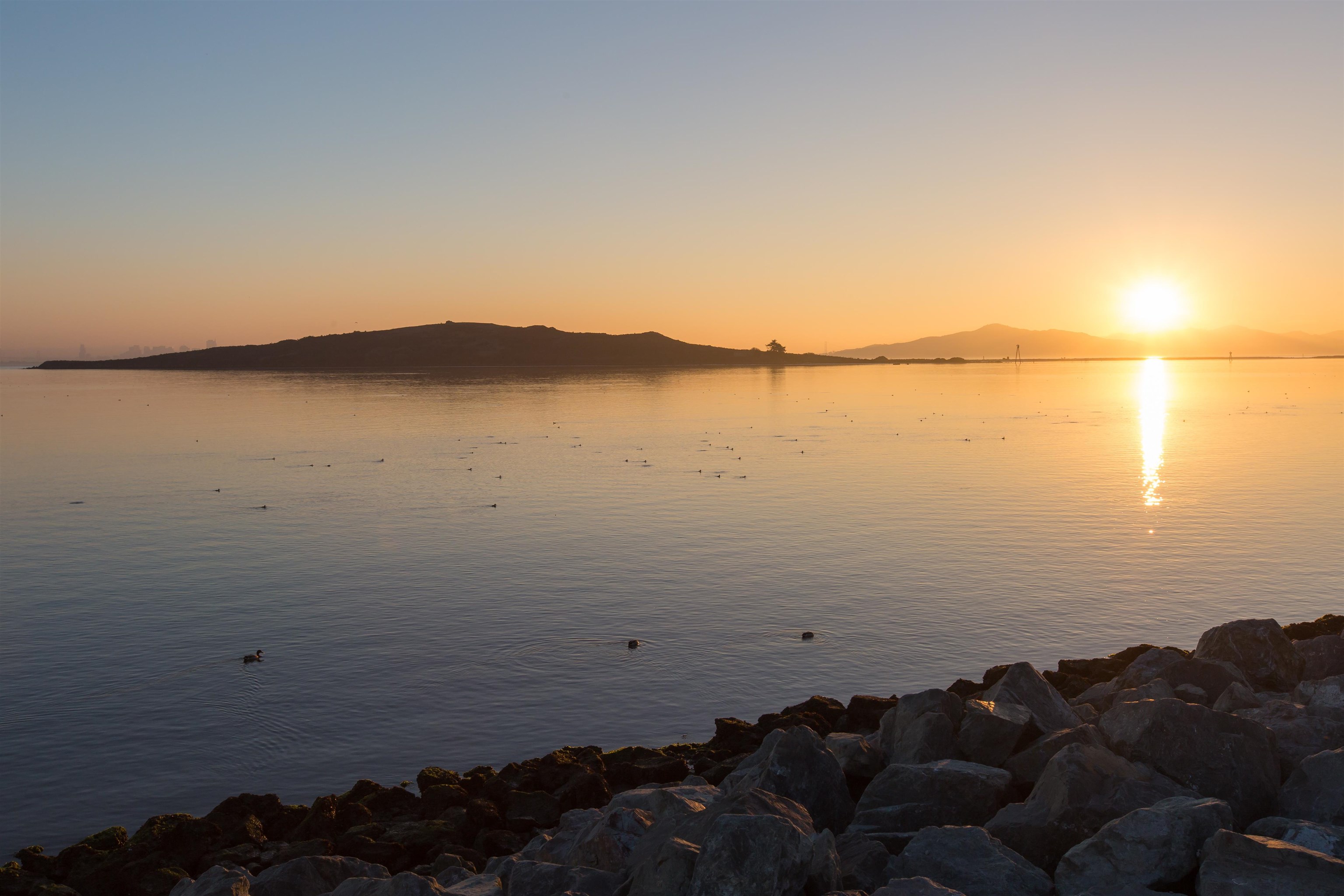 Photo #56: 41123533 Listing: Photo #56