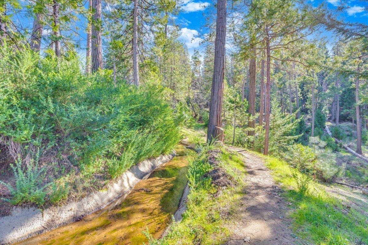 Detail Gallery Image 16 of 60 For 22693 Tamarack Dr, Twain Harte,  CA 95383 - 3 Beds | 2/1 Baths