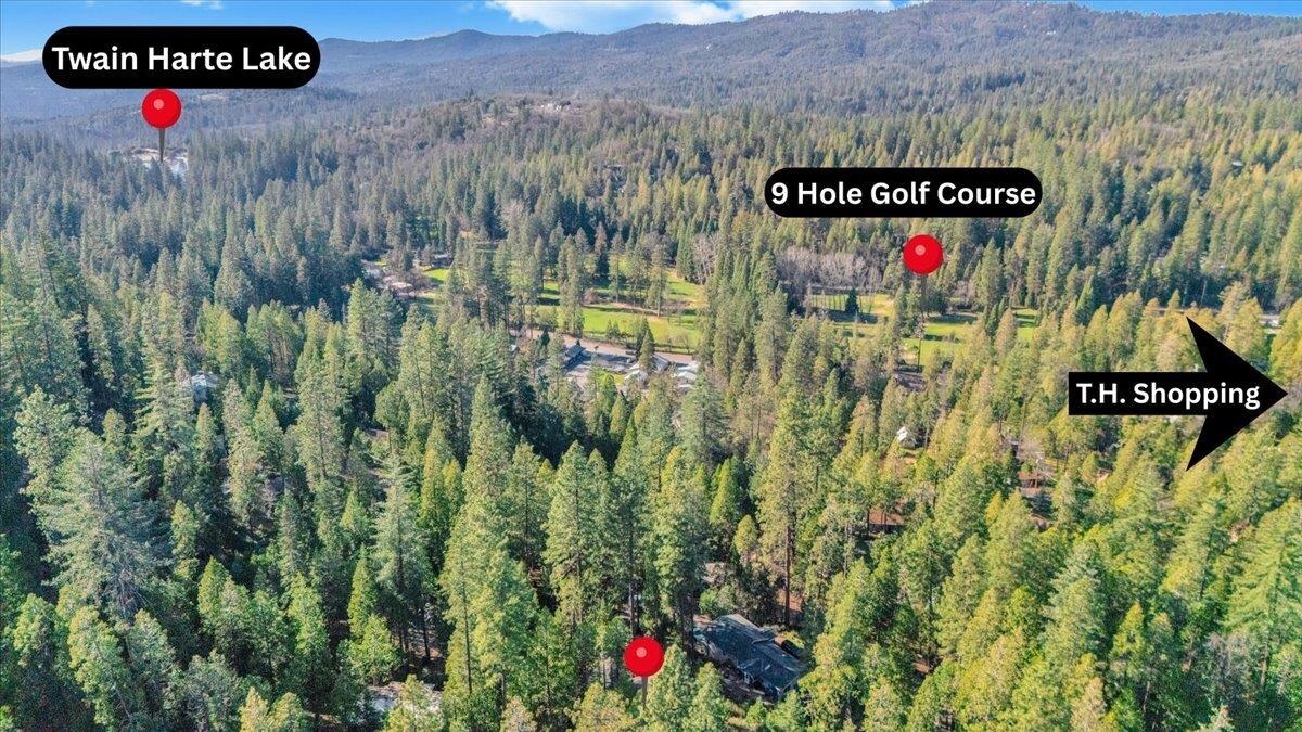 Detail Gallery Image 18 of 60 For 22693 Tamarack Dr, Twain Harte,  CA 95383 - 3 Beds | 2/1 Baths