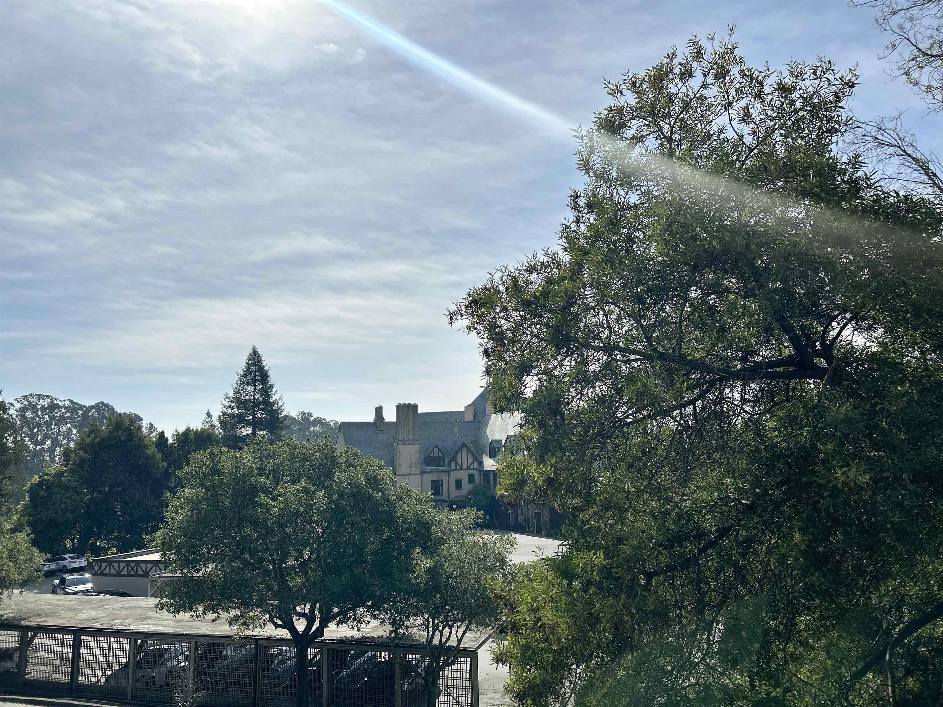 Photo #14: 41123566 Listing: Photo #14