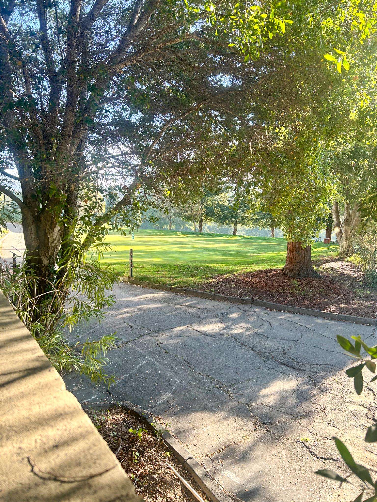 Photo #5: 41123566 Listing: Photo #5