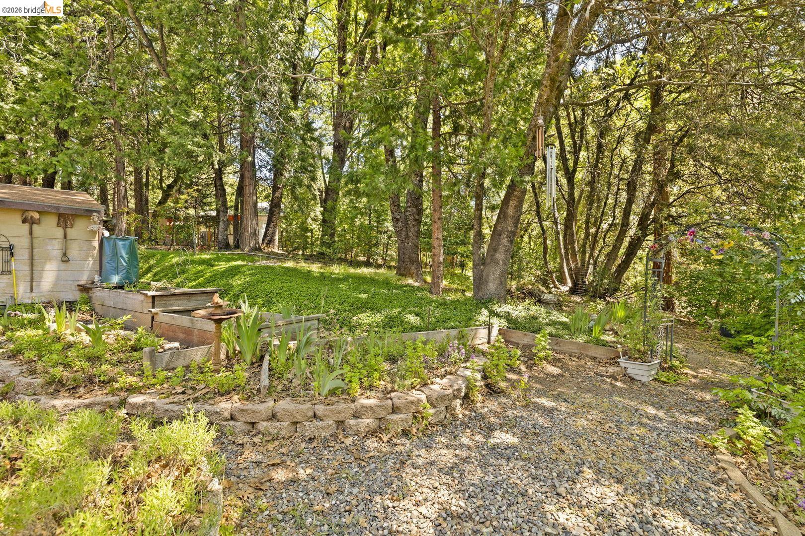 Detail Gallery Image 50 of 58 For 23451 Lakewood Dr, Twain Harte,  CA 95383 - 3 Beds | 3 Baths