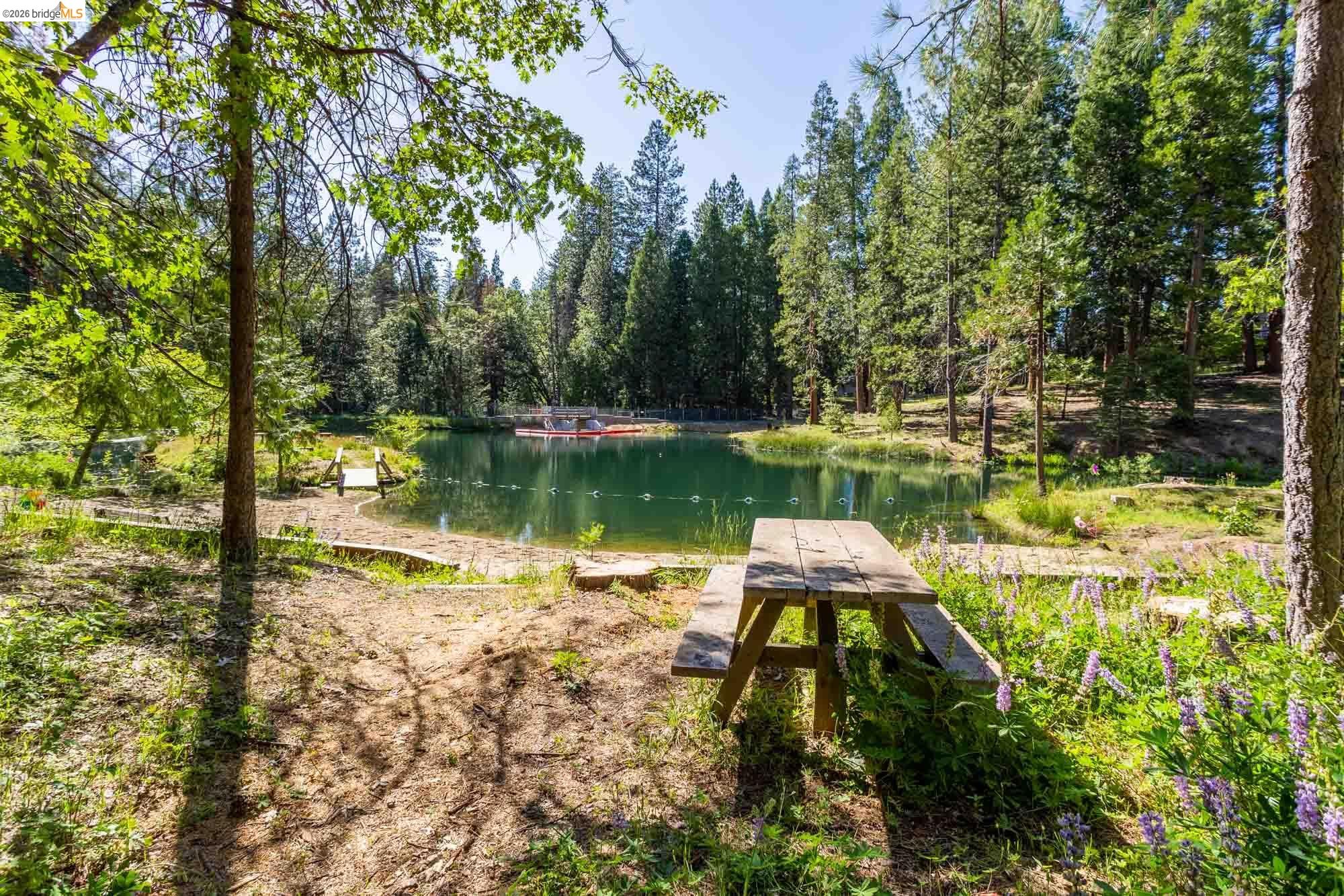 Detail Gallery Image 53 of 58 For 23451 Lakewood Dr, Twain Harte,  CA 95383 - 3 Beds | 3 Baths