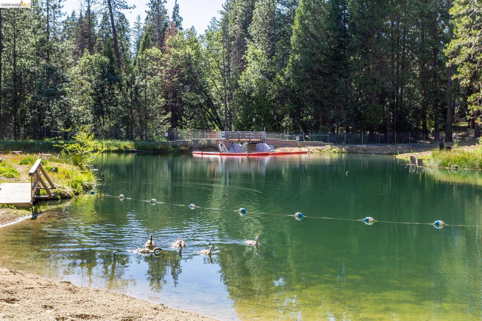 Detail Gallery Image 54 of 58 For 23451 Lakewood Dr, Twain Harte,  CA 95383 - 3 Beds | 3 Baths