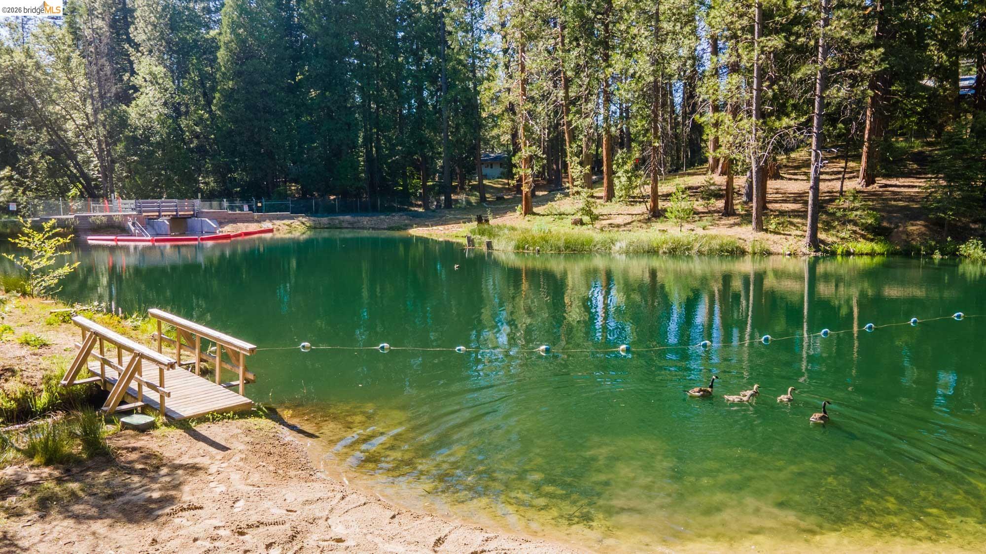 Detail Gallery Image 58 of 58 For 23451 Lakewood Dr, Twain Harte,  CA 95383 - 3 Beds | 3 Baths