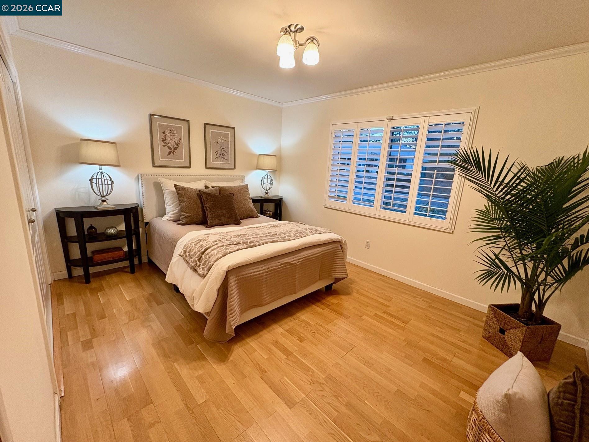 Detail Gallery Image 9 of 21 For 54 Carlos Court, Walnut Creek,  CA 94597 - 3 Beds | 1 Baths