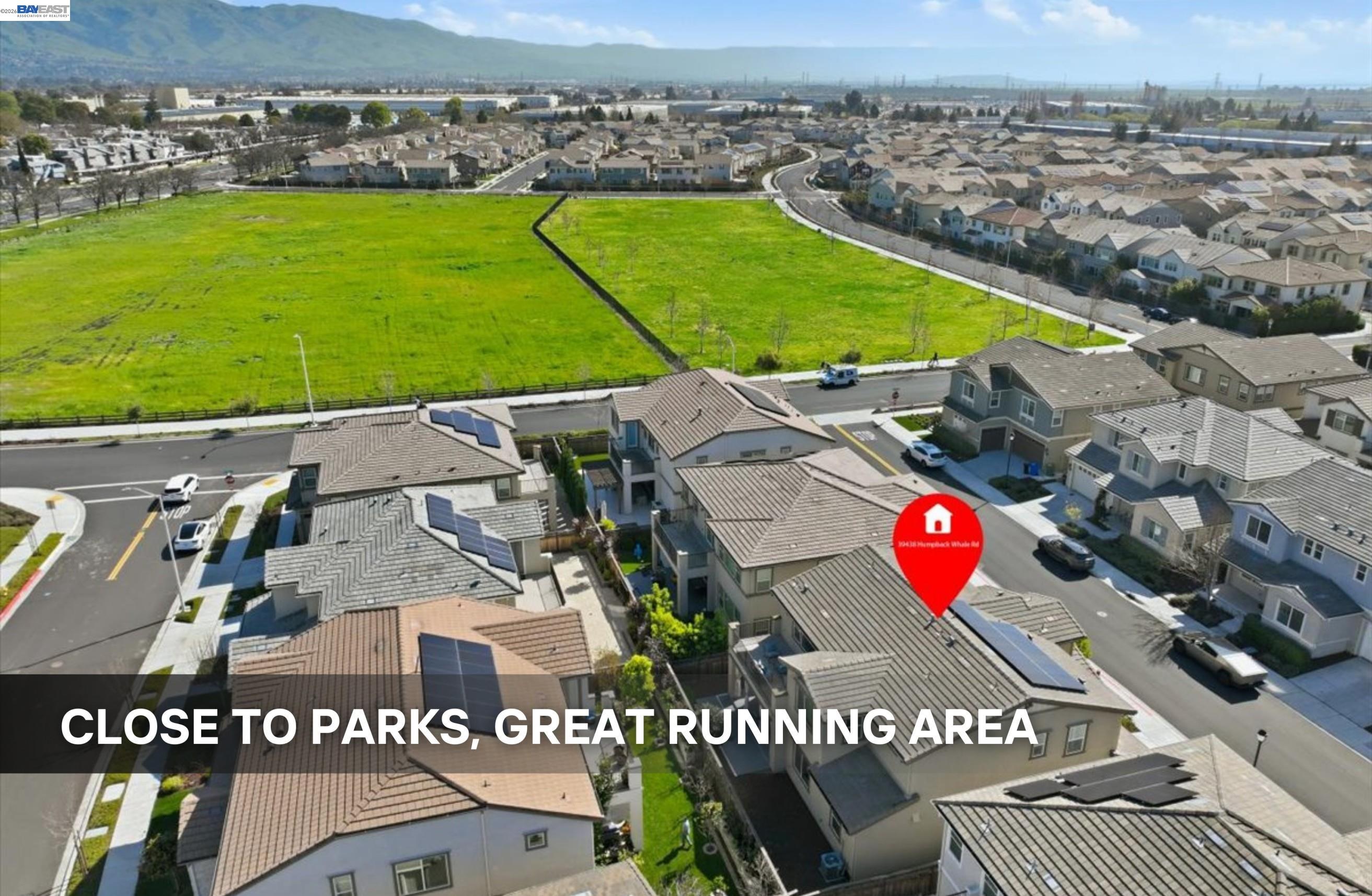 Detail Gallery Image 49 of 51 For 39438 Humpback Whale Rd, Newark,  CA 94560 - 5 Beds | 4/1 Baths