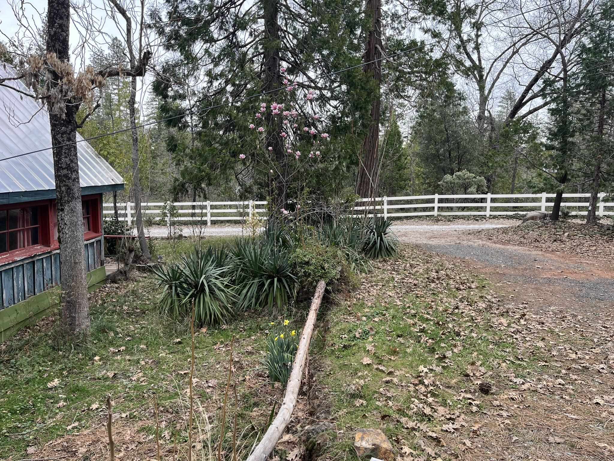 Detail Gallery Image 4 of 59 For 23090 N Bald Mountain Rd, Sonora,  CA 95370 - – Beds | – Baths