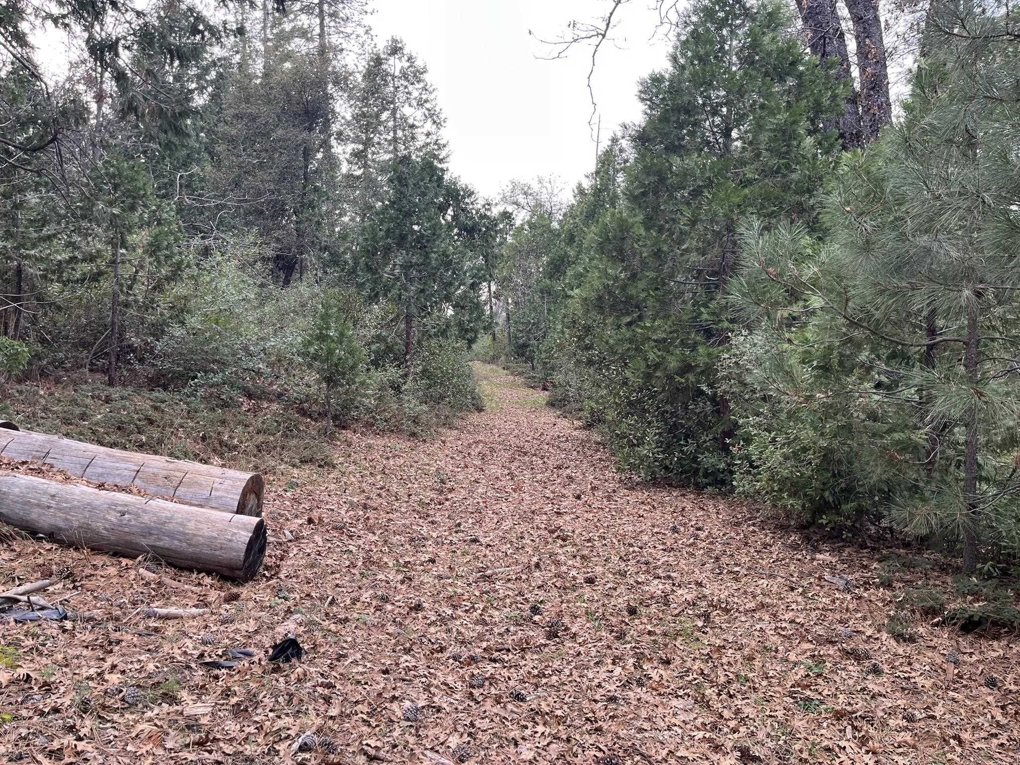 Detail Gallery Image 58 of 59 For 23090 N Bald Mountain Rd, Sonora,  CA 95370 - – Beds | – Baths