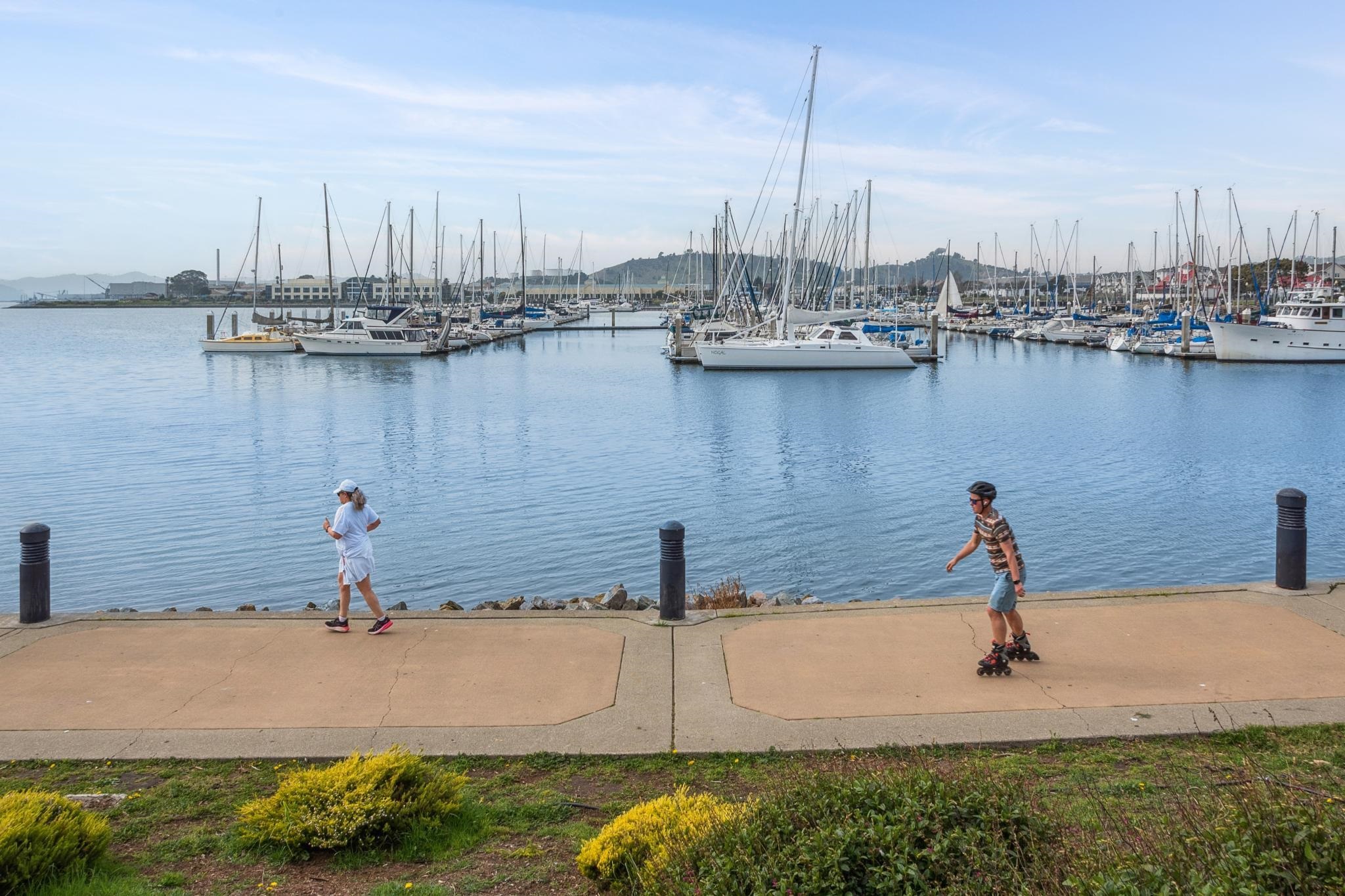 Photo #49: 41123612 Listing: Photo #49