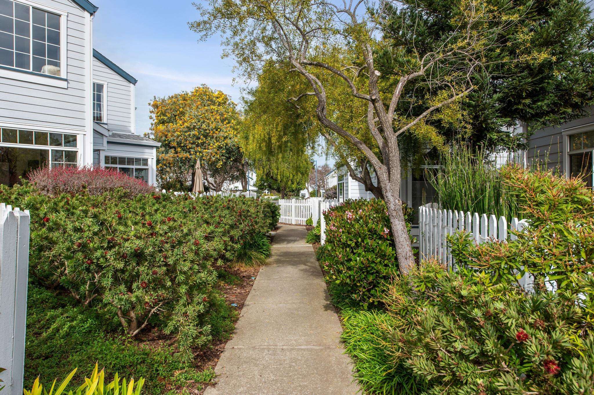 Photo #6: 41123612 Listing: Photo #6