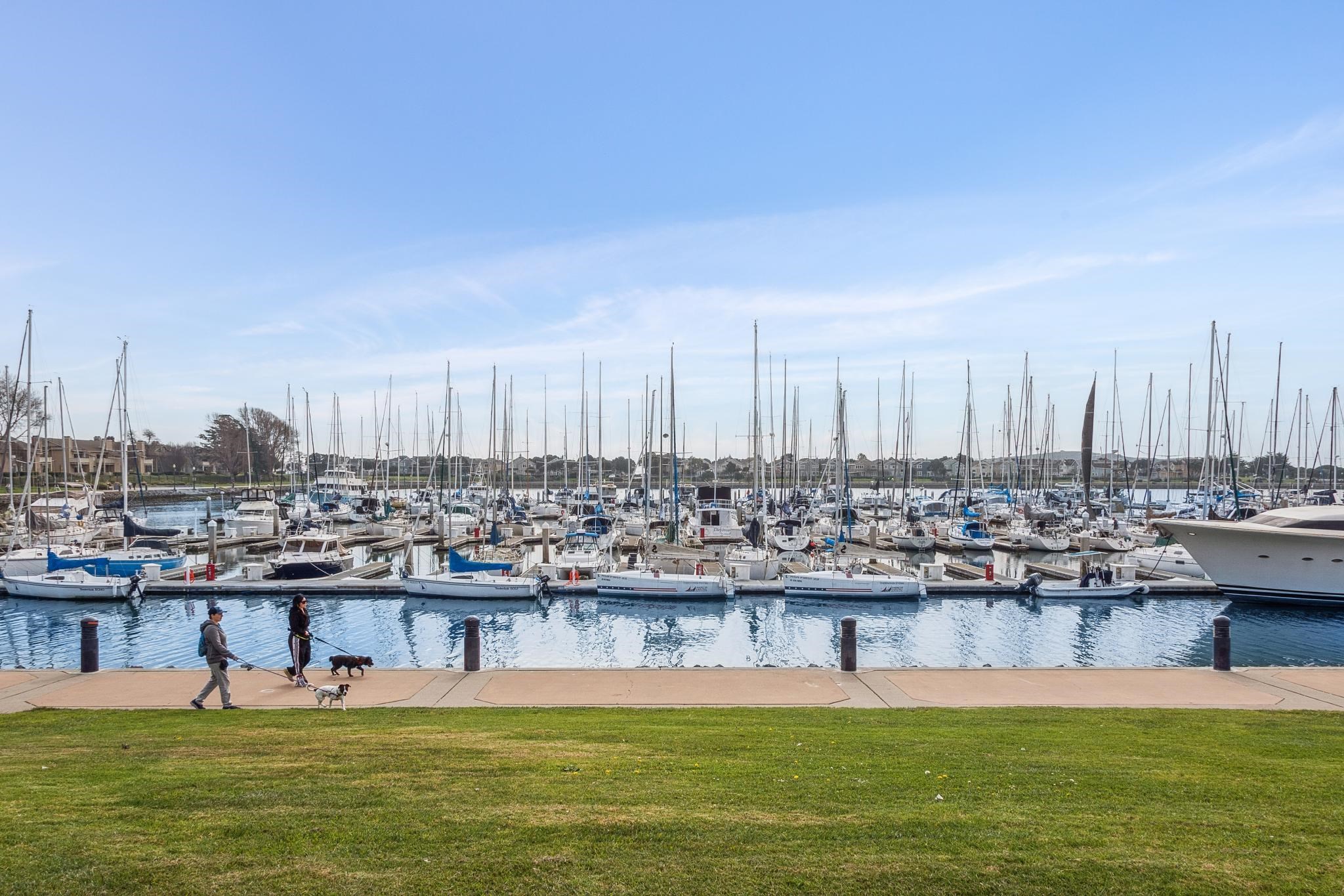 Photo #51: 41123612 Listing: Photo #51