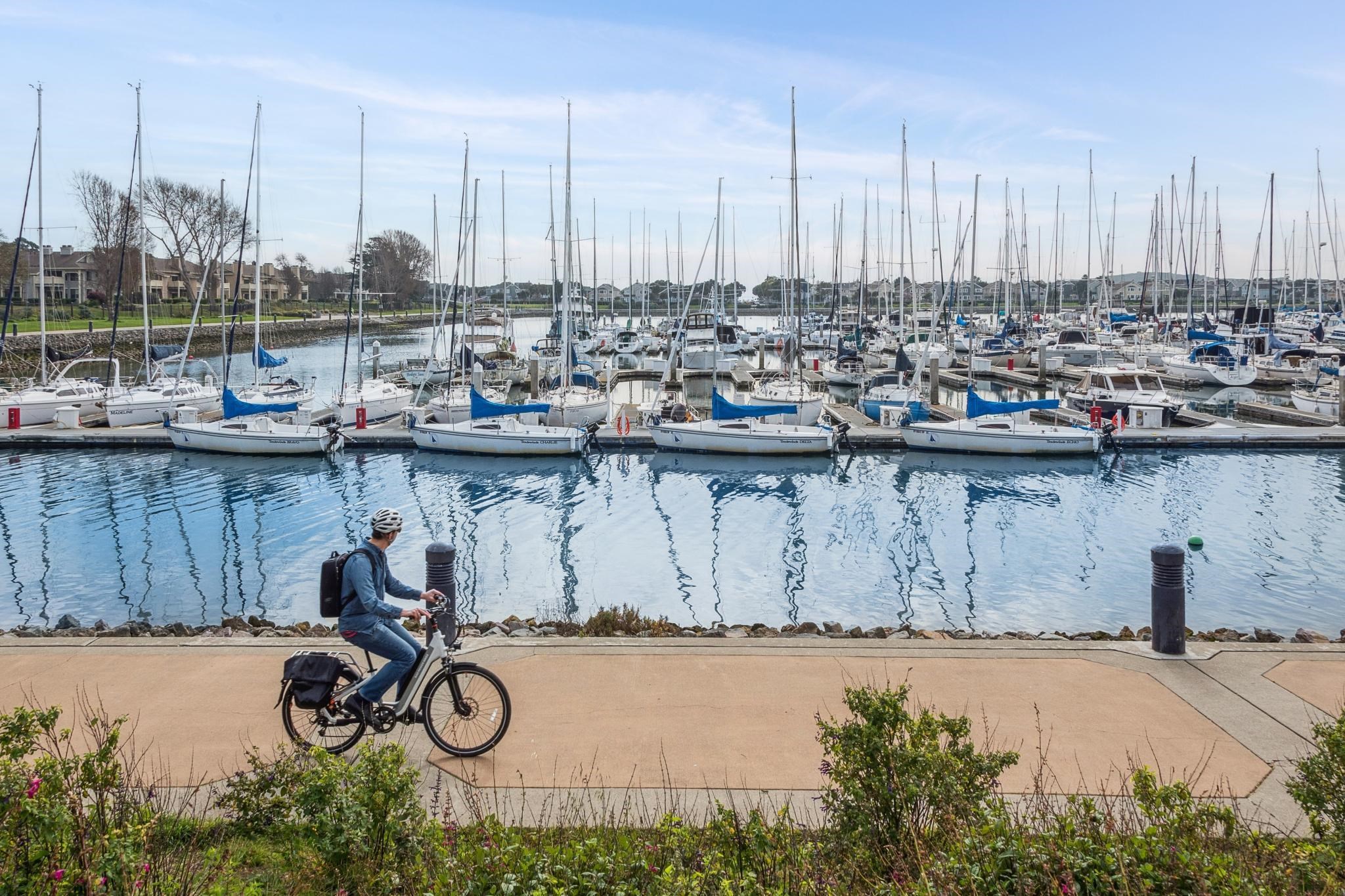 Photo #52: 41123612 Listing: Photo #52