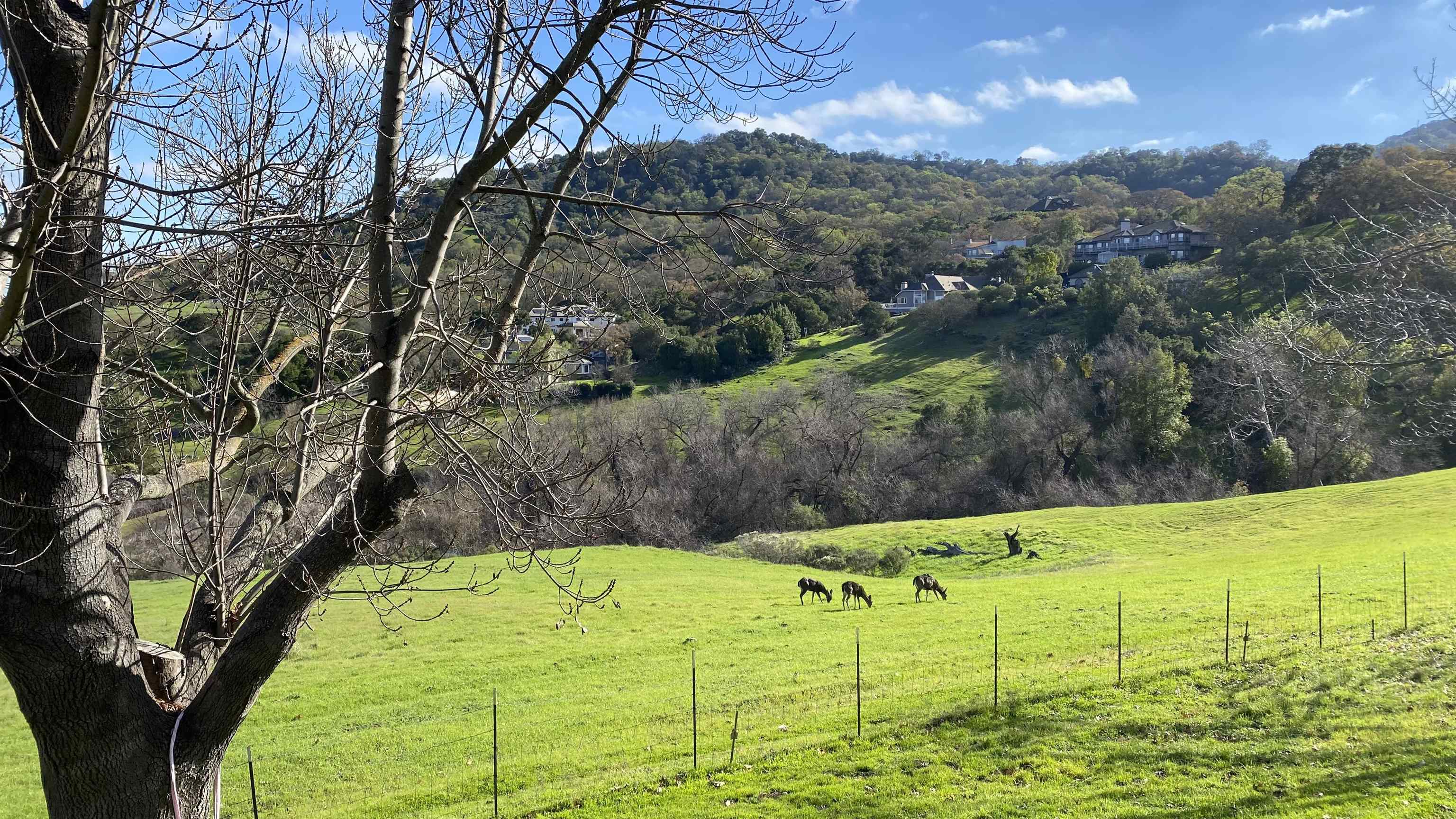 Detail Gallery Image 28 of 34 For 1240 Copper Peak Ln, San Jose,  CA 95120 - 3 Beds | 3 Baths