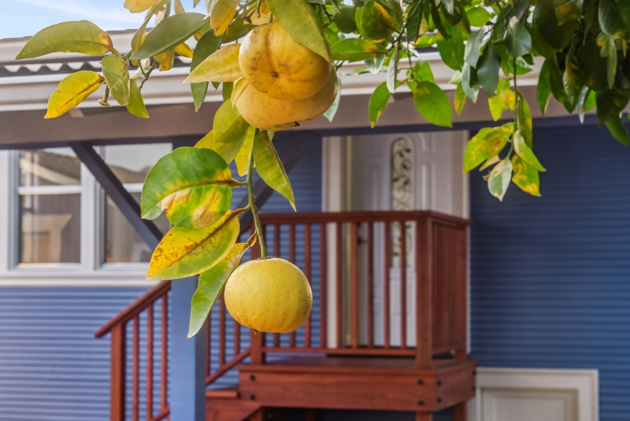 Detail Gallery Image 48 of 55 For 330 Melven Ct, San Leandro,  CA 94577 - 2 Beds | 1 Baths