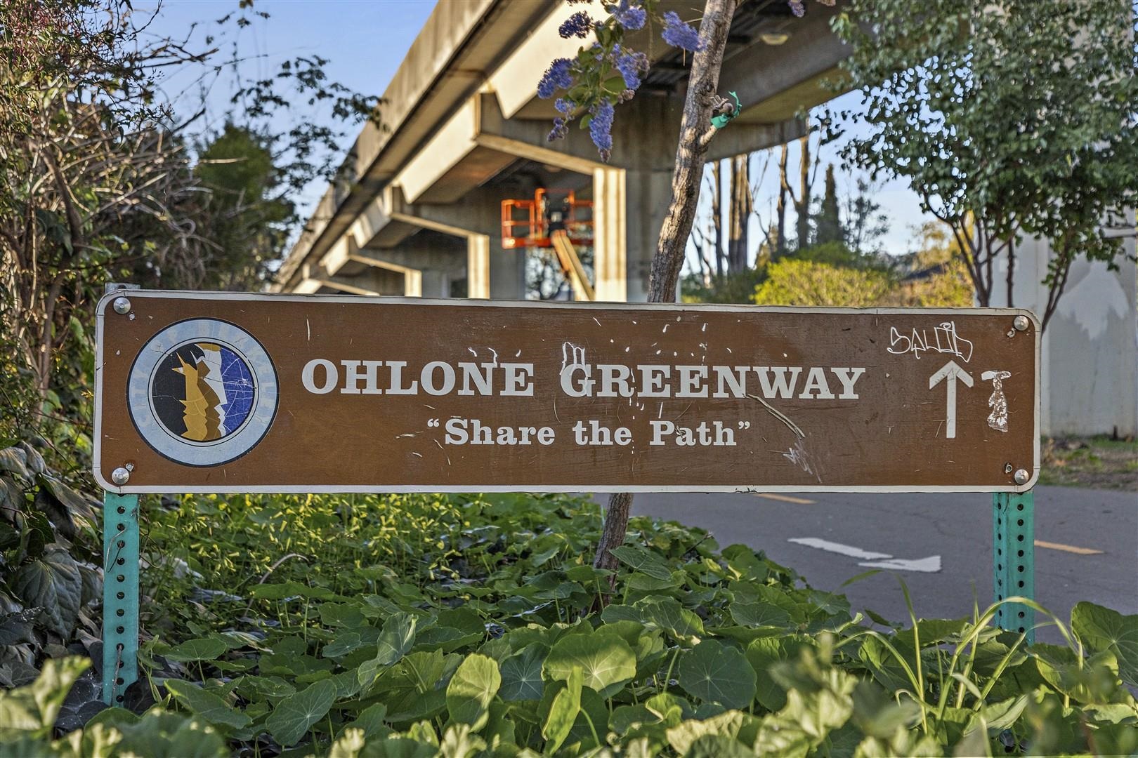 Photo #48: 41123641 Listing: Photo #48