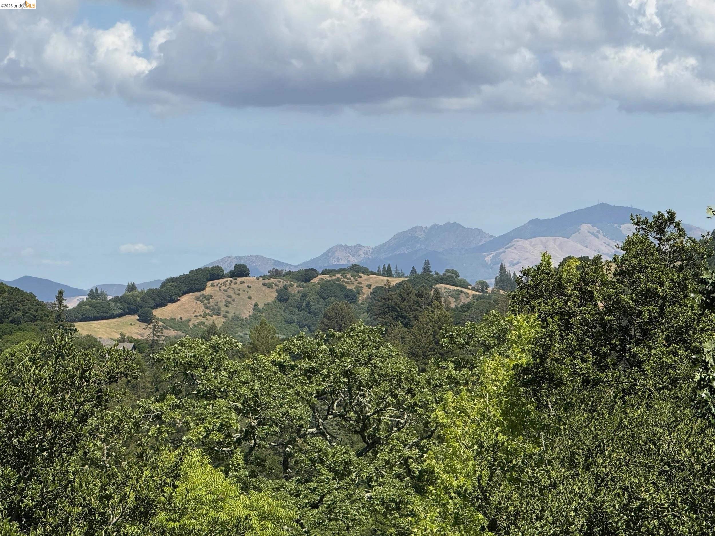 Detail Gallery Image 57 of 59 For 78 Scenic Dr, Orinda,  CA 94563 - 4 Beds | 3 Baths