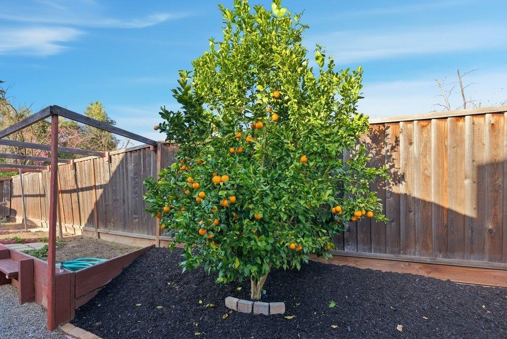 Detail Gallery Image 29 of 55 For 5251 Peony Dr, Livermore,  CA 94551 - 2 Beds | 2 Baths