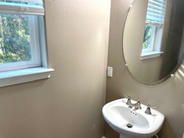 Detail Gallery Image 15 of 21 For 9 Shreve Ln, Lafayette,  CA 94549 - 4 Beds | 3/1 Baths