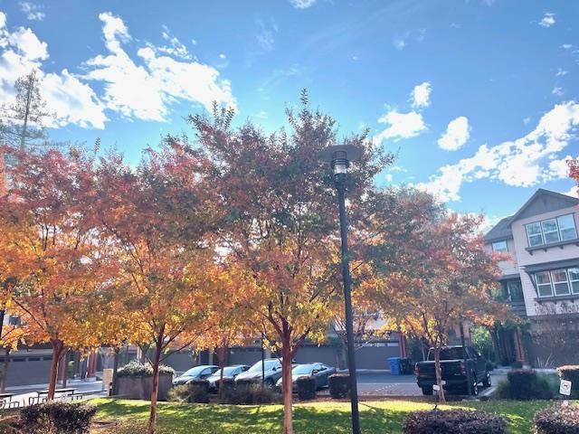 Detail Gallery Image 3 of 21 For 9 Shreve Ln, Lafayette,  CA 94549 - 4 Beds | 3/1 Baths