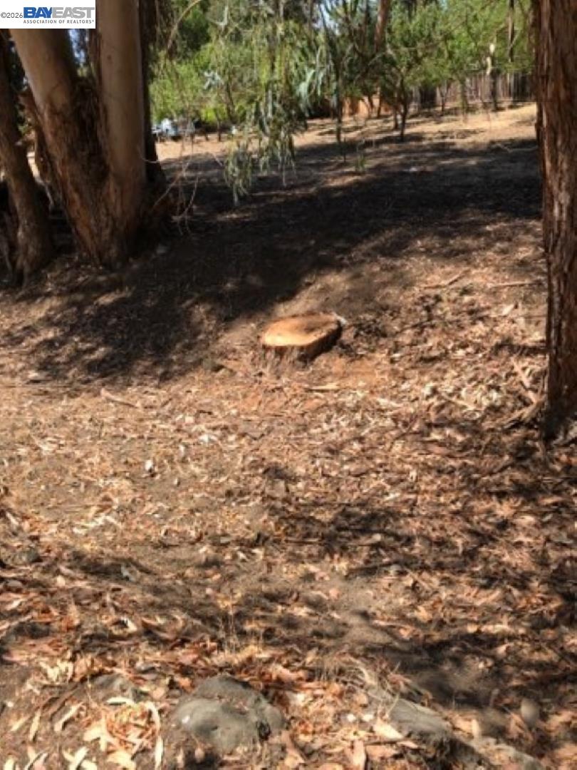 Detail Gallery Image 13 of 27 For Morrison Canyon Rd, Fremont,  CA 94536 - – Beds | – Baths