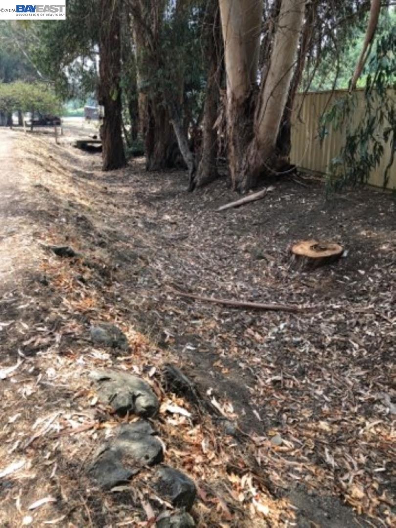 Detail Gallery Image 17 of 27 For Morrison Canyon Rd, Fremont,  CA 94536 - – Beds | – Baths