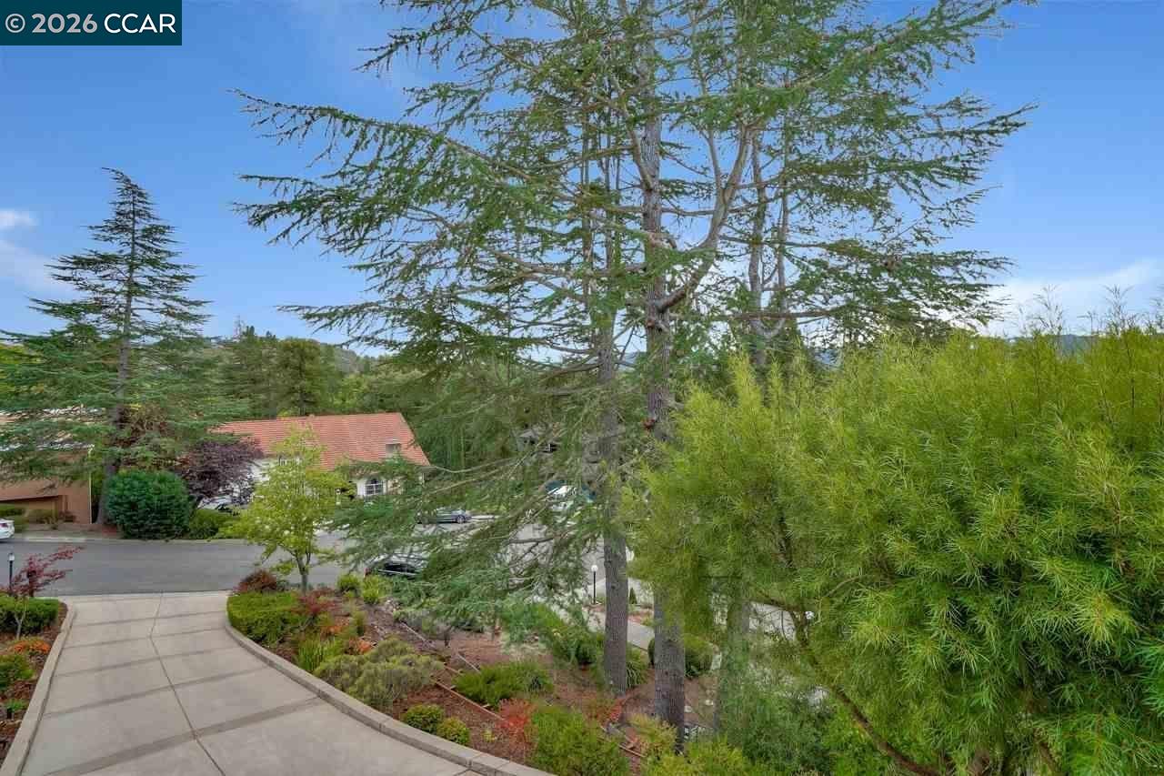 Detail Gallery Image 30 of 30 For 44 Pulido Ct, Danville,  CA 94526 - 3 Beds | 2/1 Baths