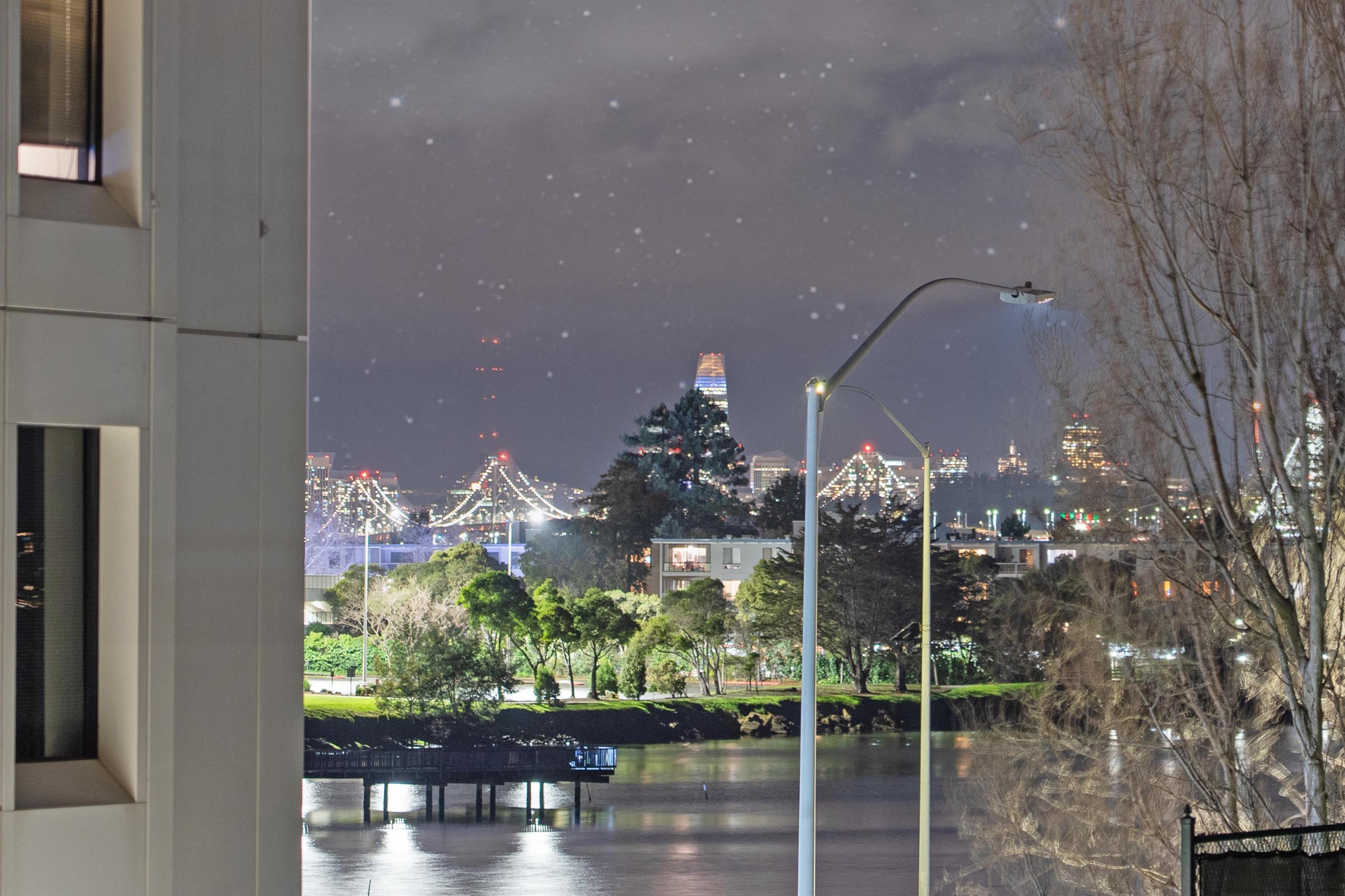 Photo #22: 41123745 Listing: Photo #22