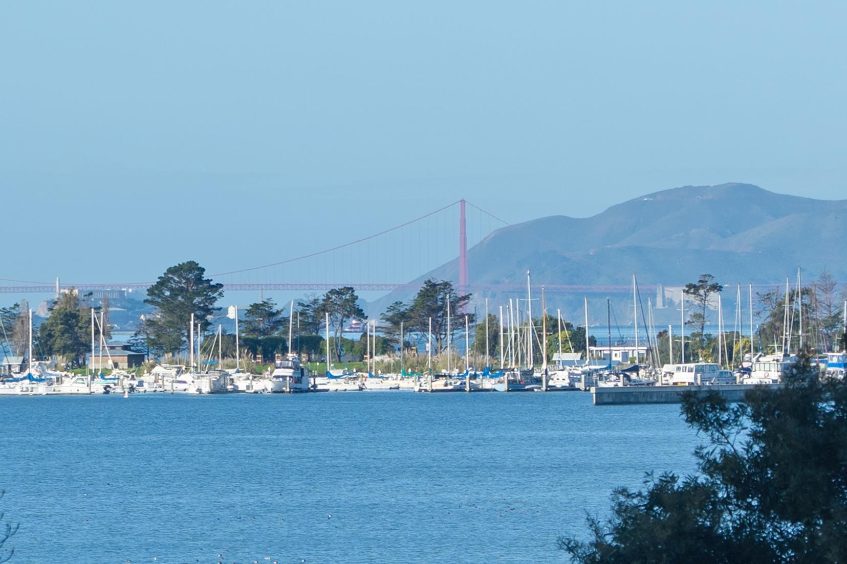 Photo #8: 41123745 Listing: Photo #8