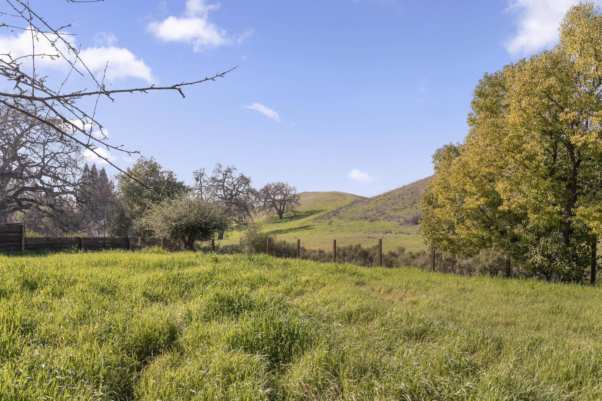 Detail Gallery Image 37 of 43 For 2115 Canyon Oak Ln, Danville,  CA 94506 - 4 Beds | 3/1 Baths